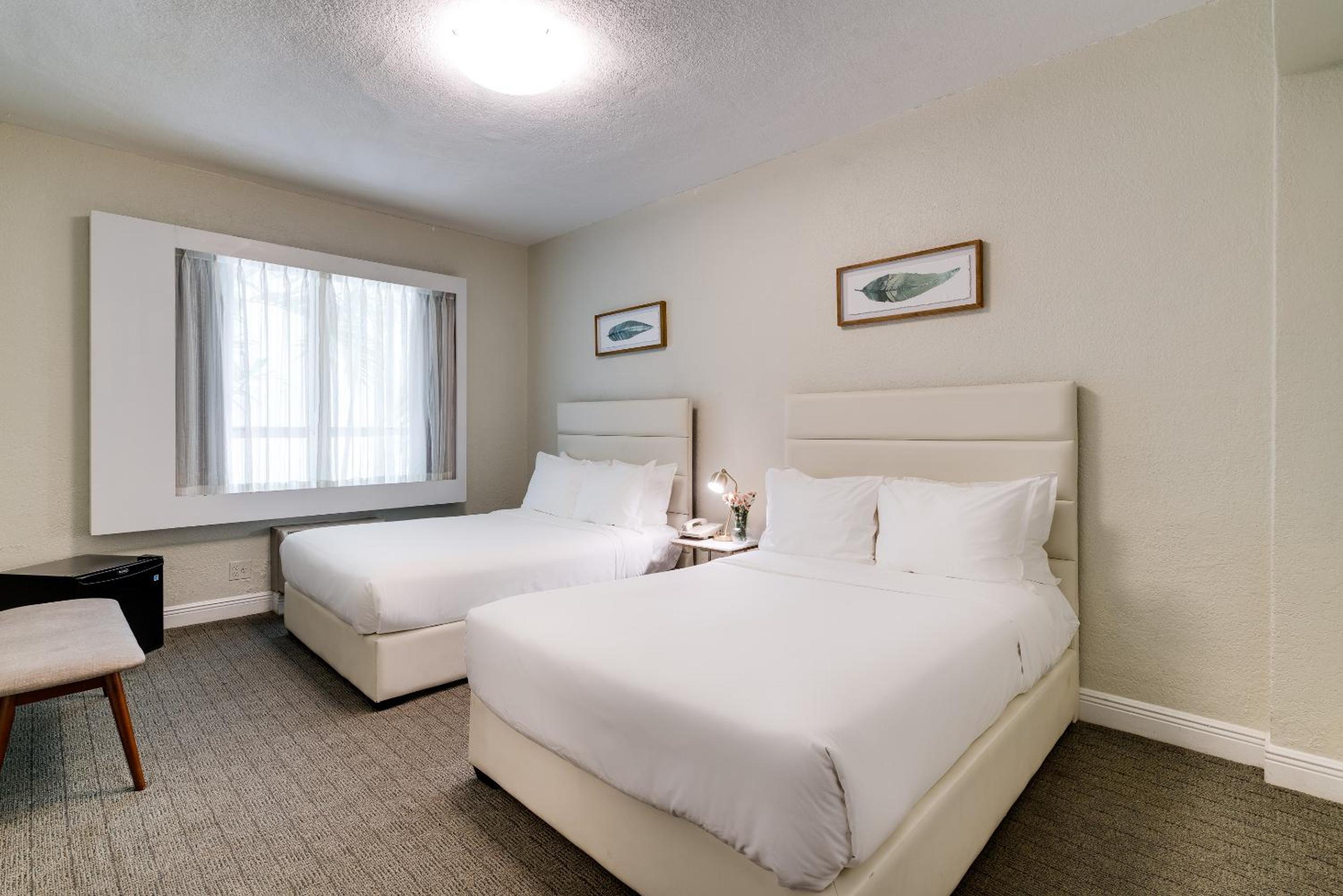 Standard Double Room with Two Double Beds - Photo 5