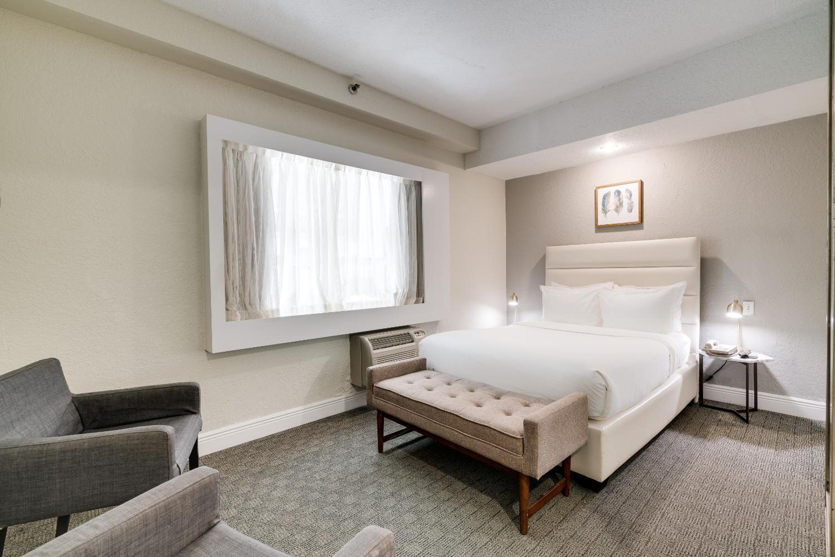 Accessible One Bedroom Suite - Photo 6