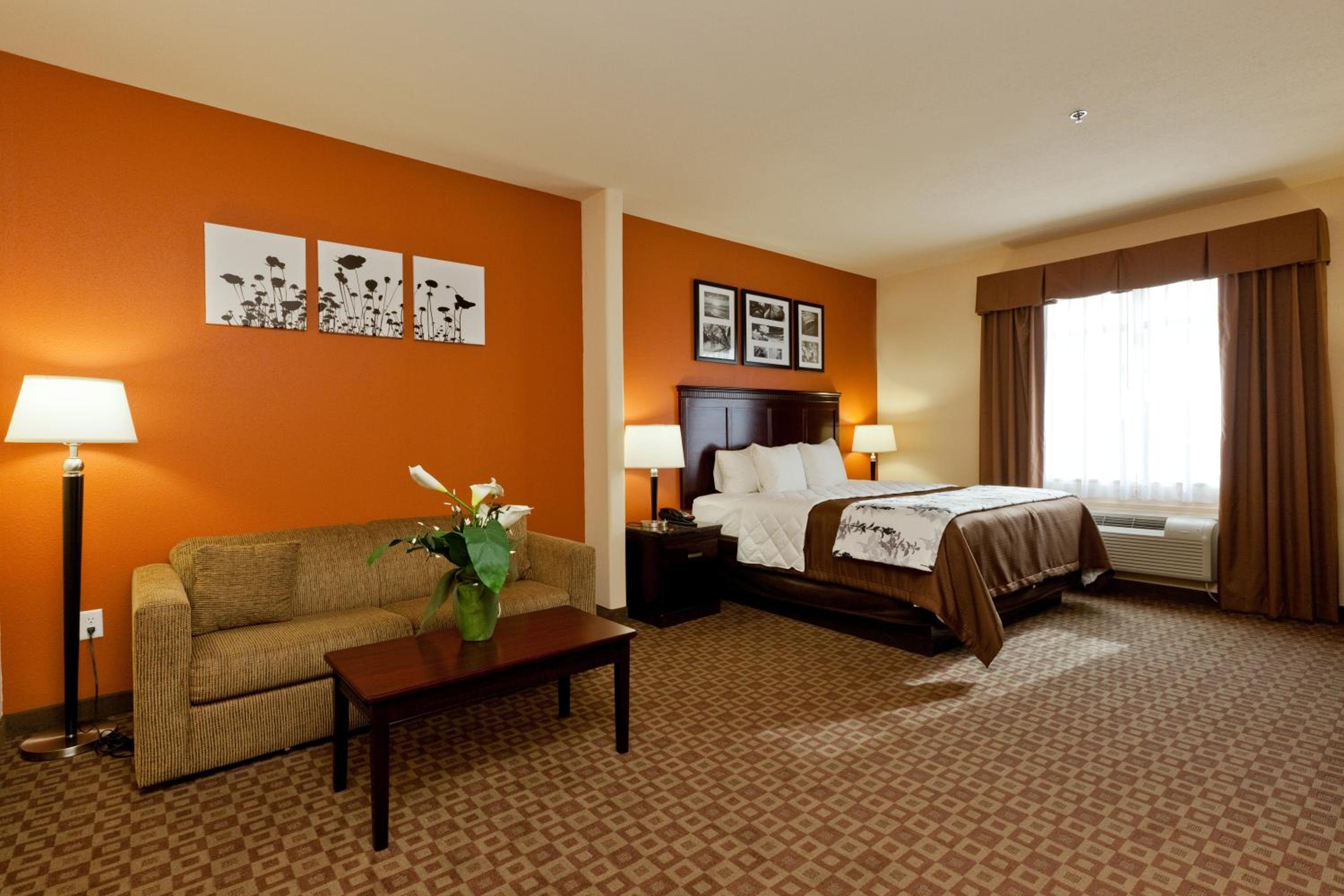 King Suite - Photo 9