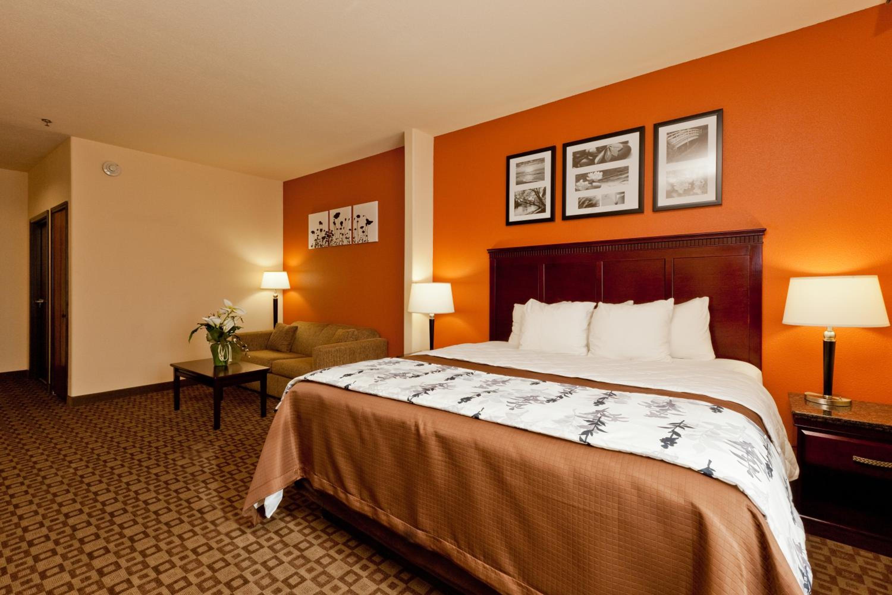 King Suite - Photo 7