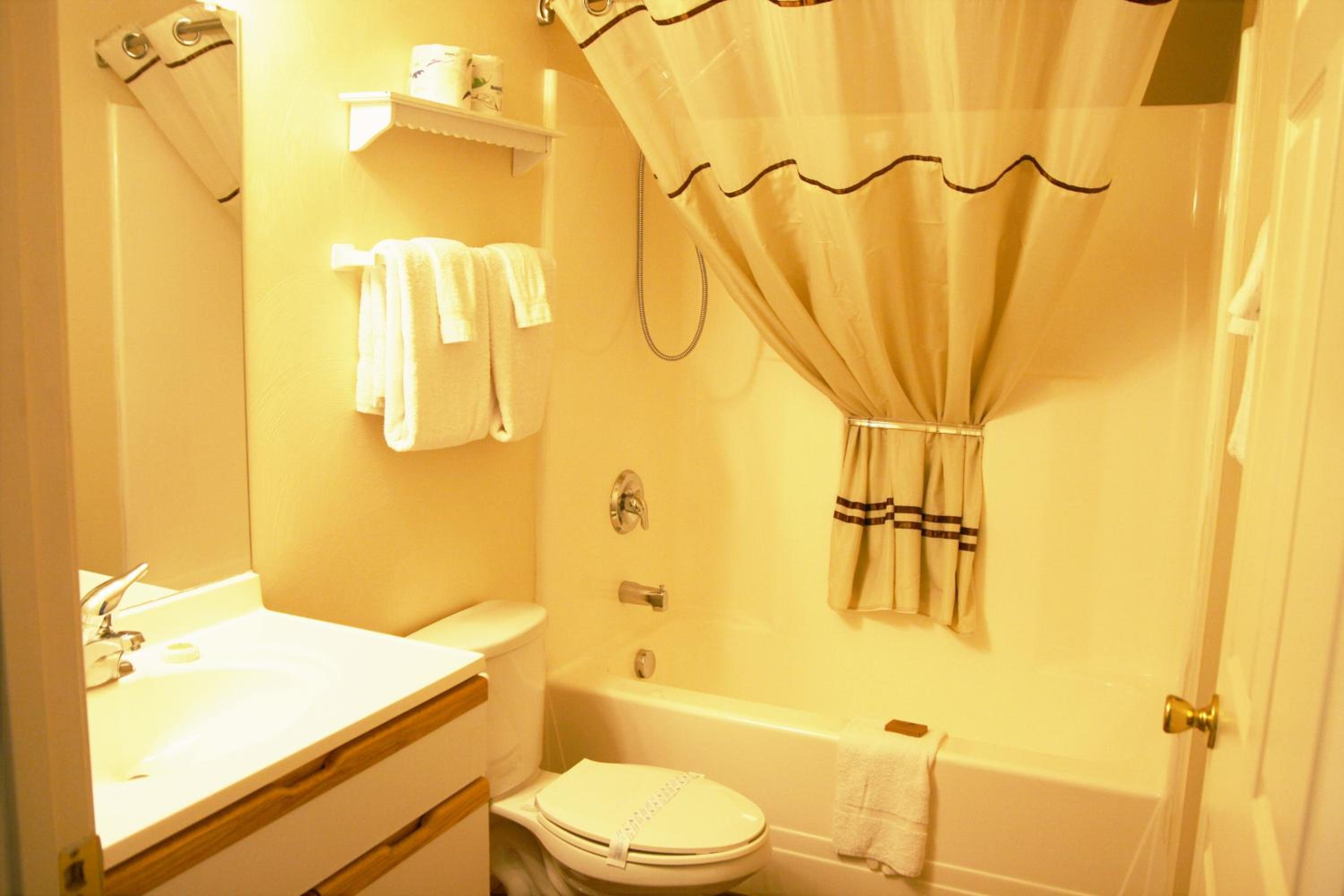 One-Bedroom Suite - Photo 5