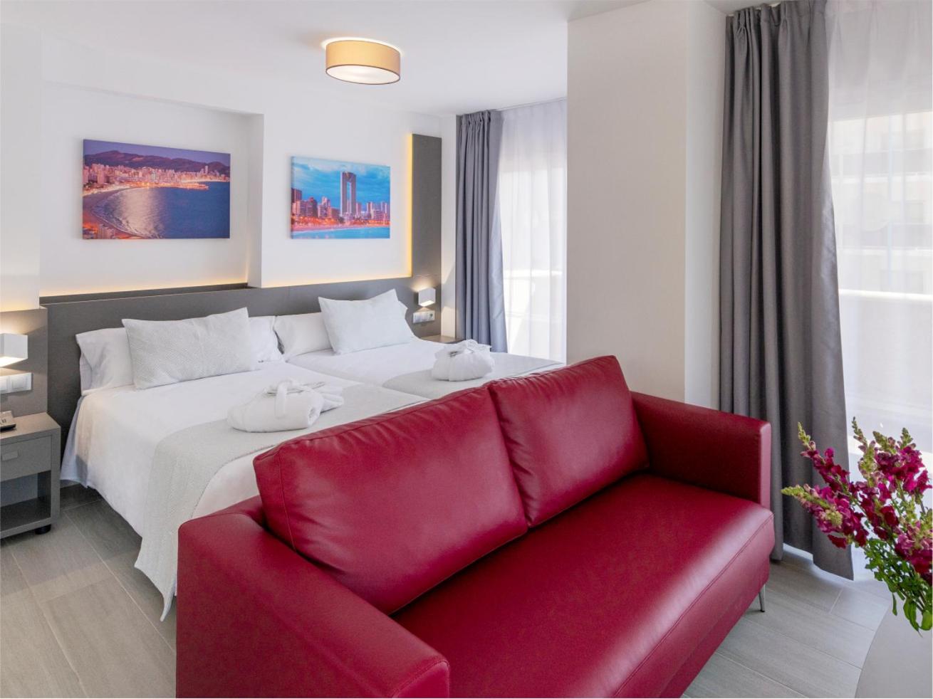 Suite Junior con Terraza