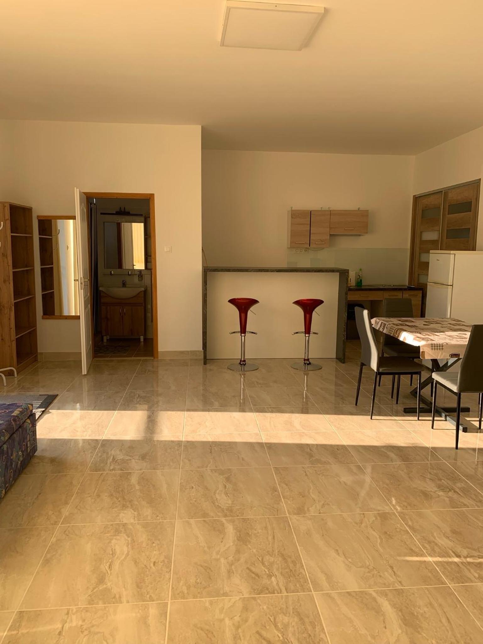 Standard Apartment photo 3