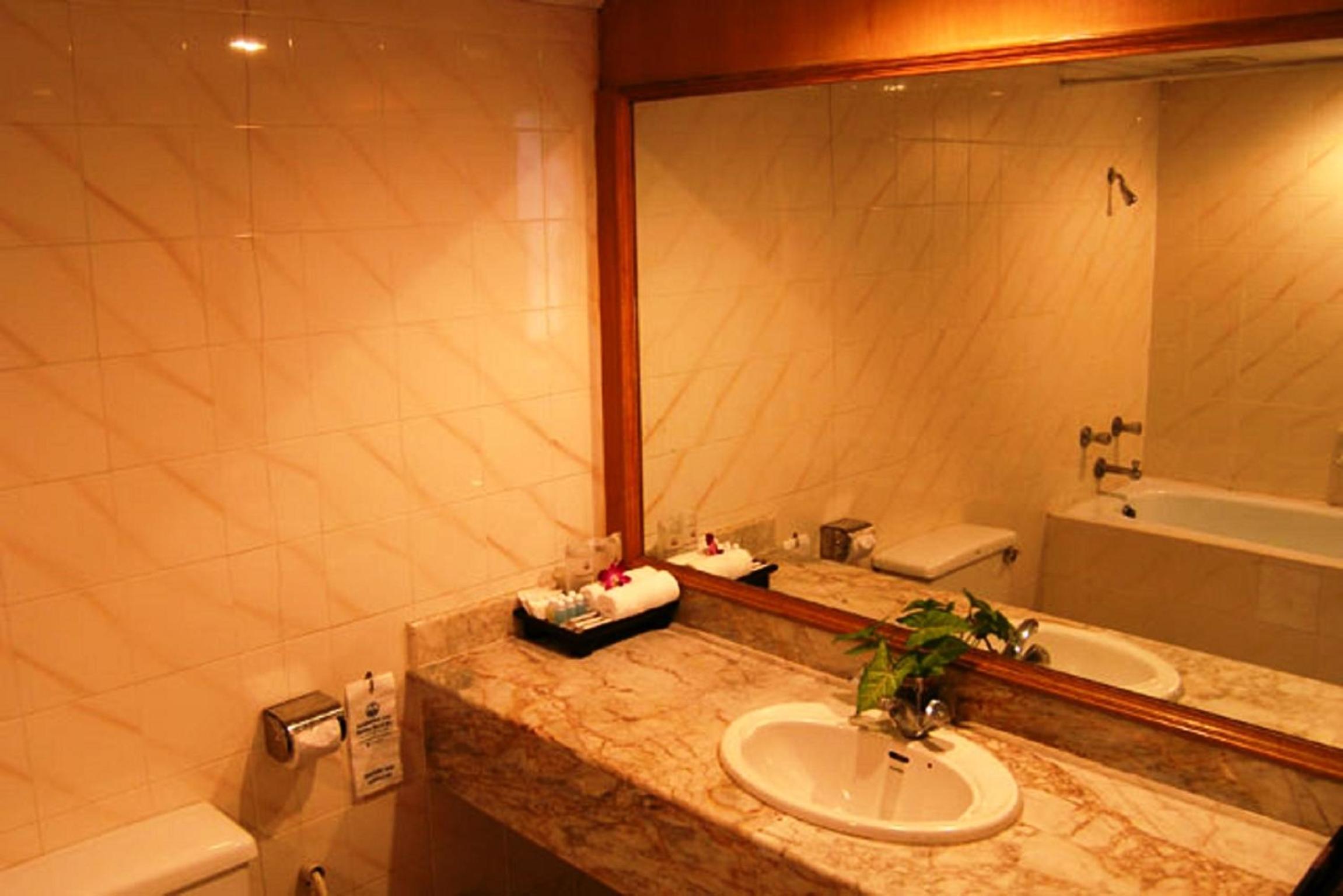 Deluxe Double or Twin Room with Balcony photo 3