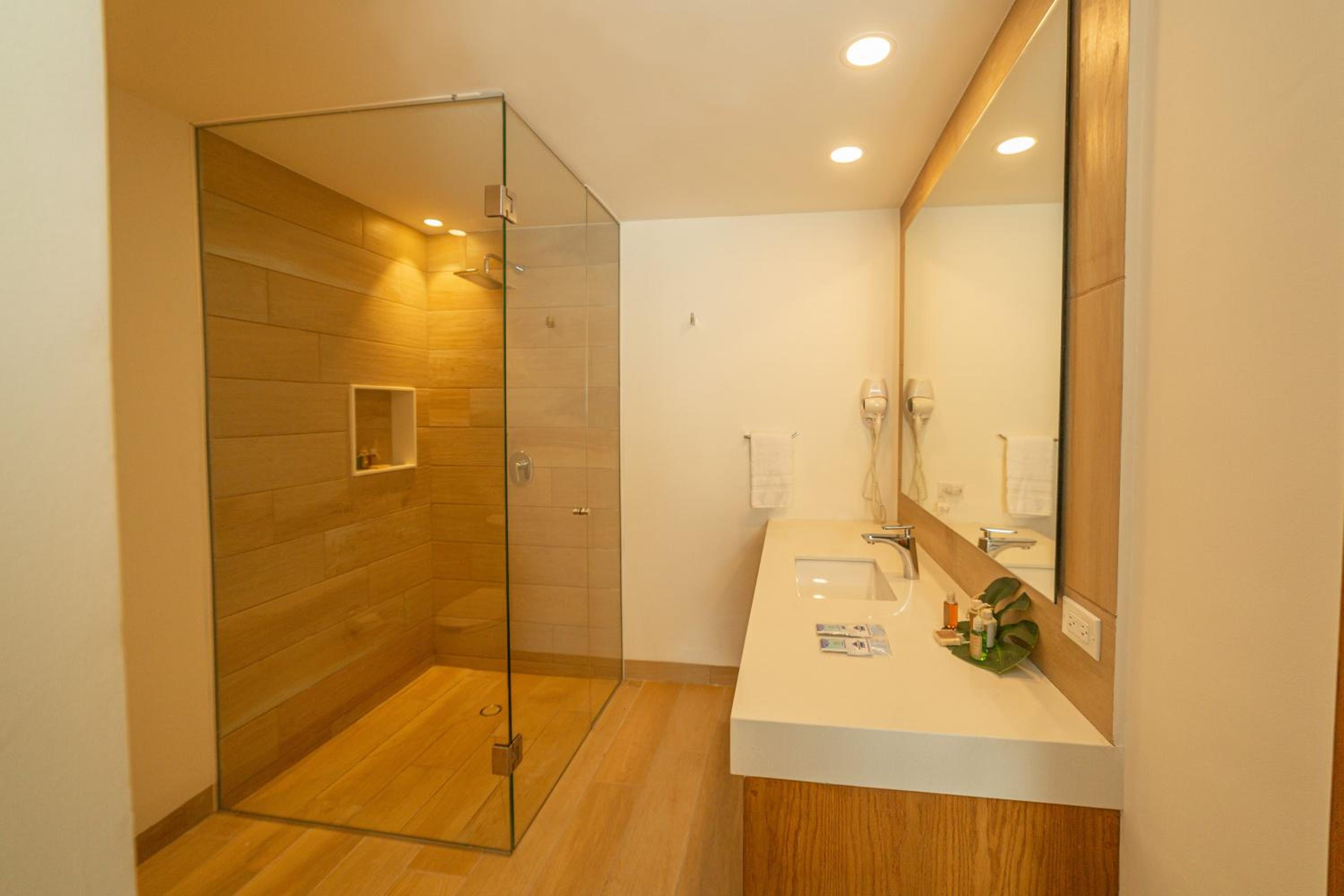 Deluxe Studio - Photo 5