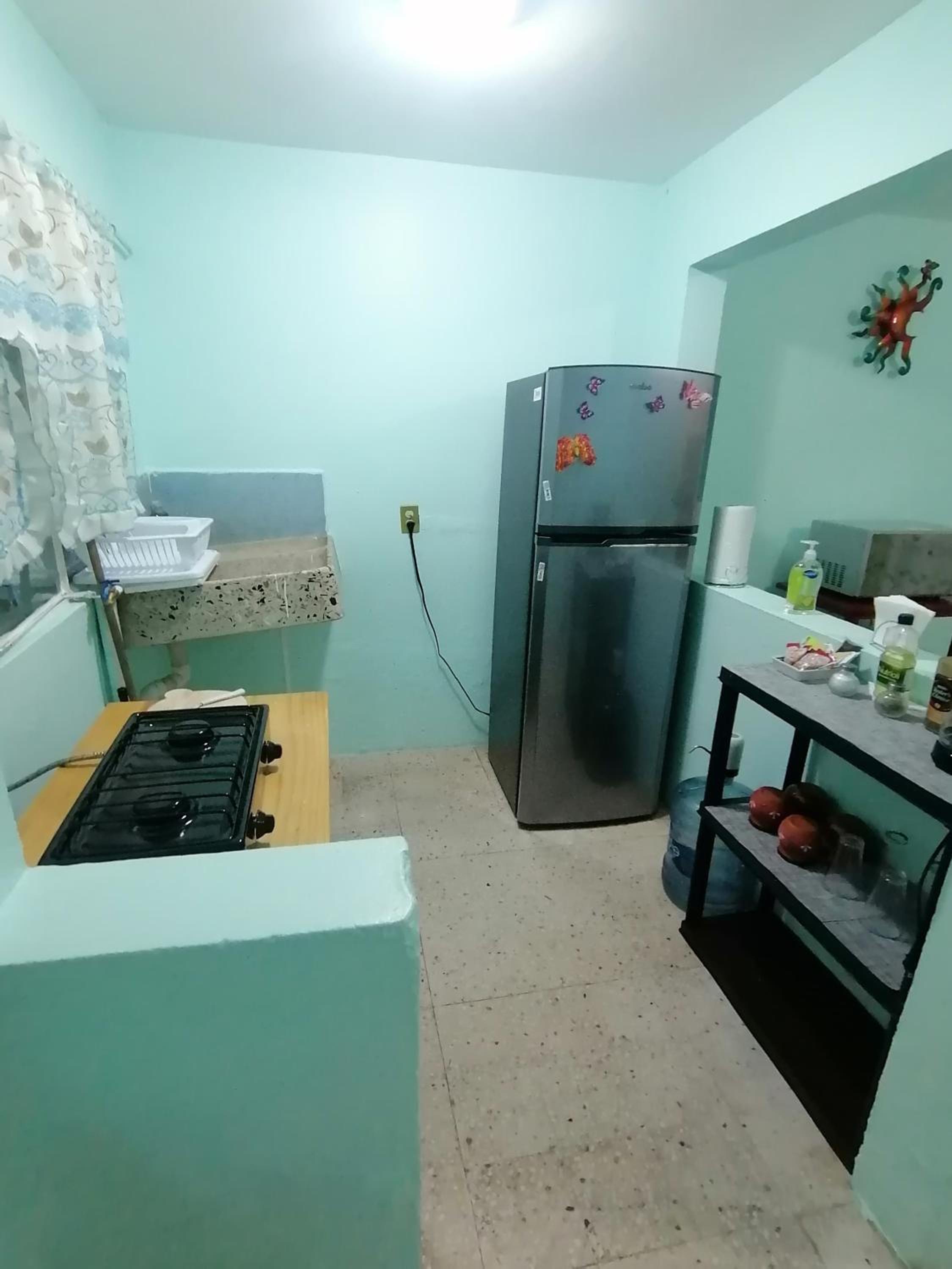 Apartment - Ground Floor - Photo 8