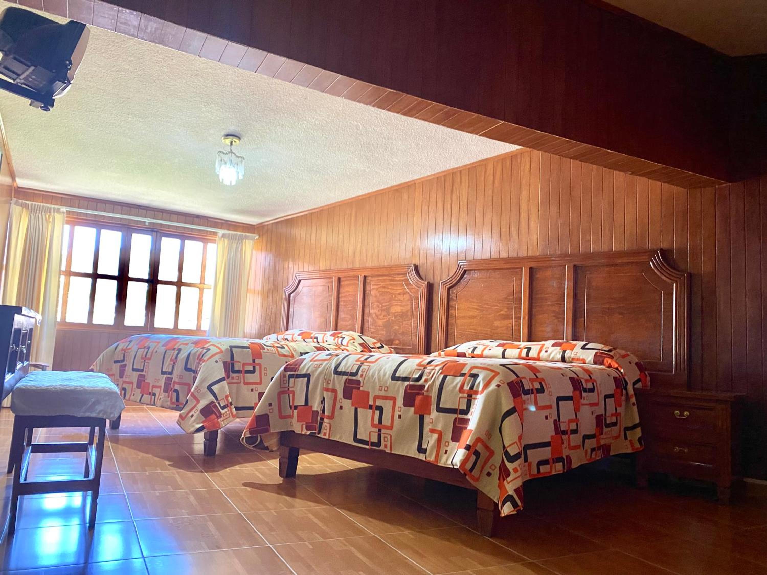 Twin Room photo 1