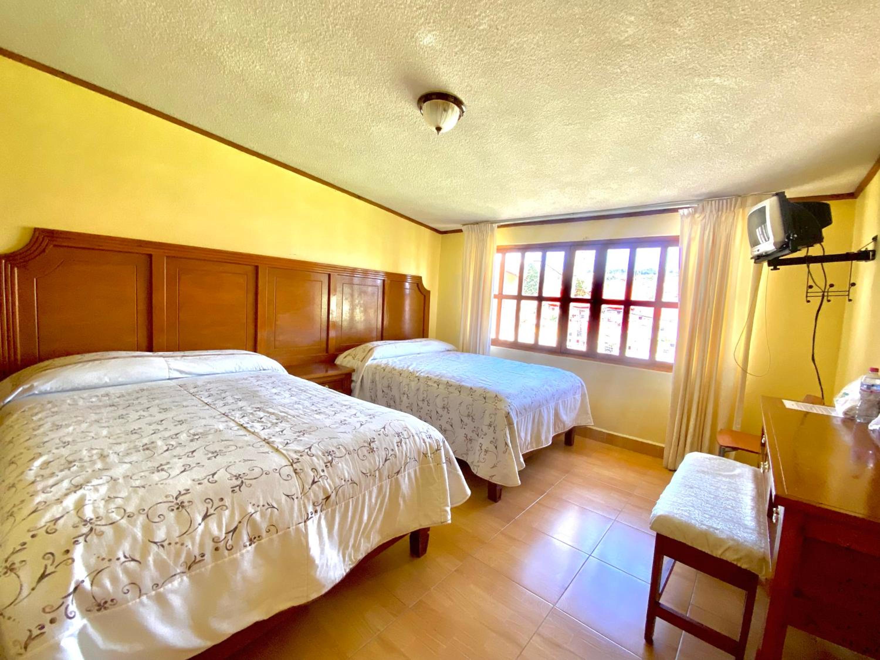 Twin Room photo 3