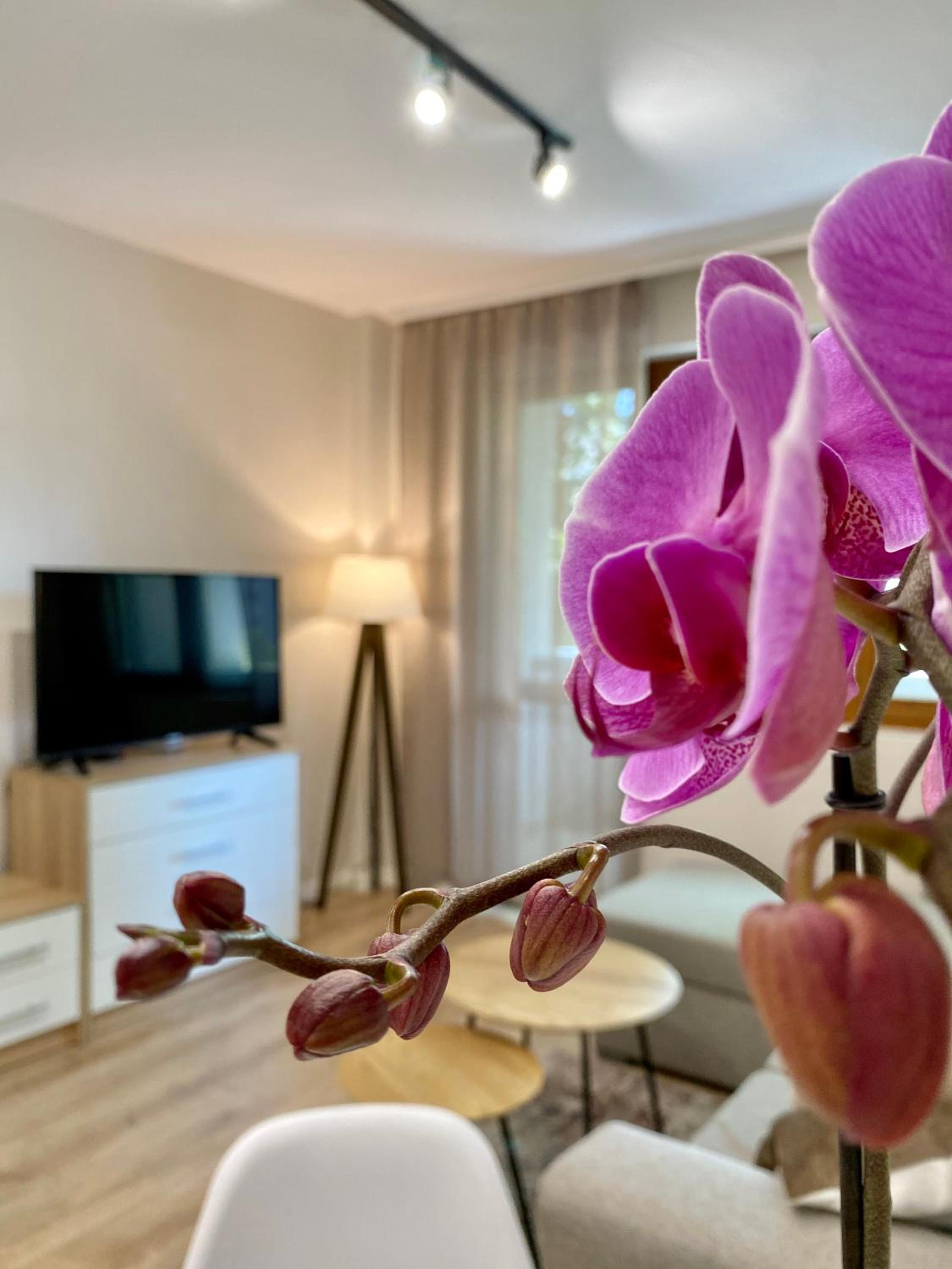 One-Bedroom Apartment - Photo 1