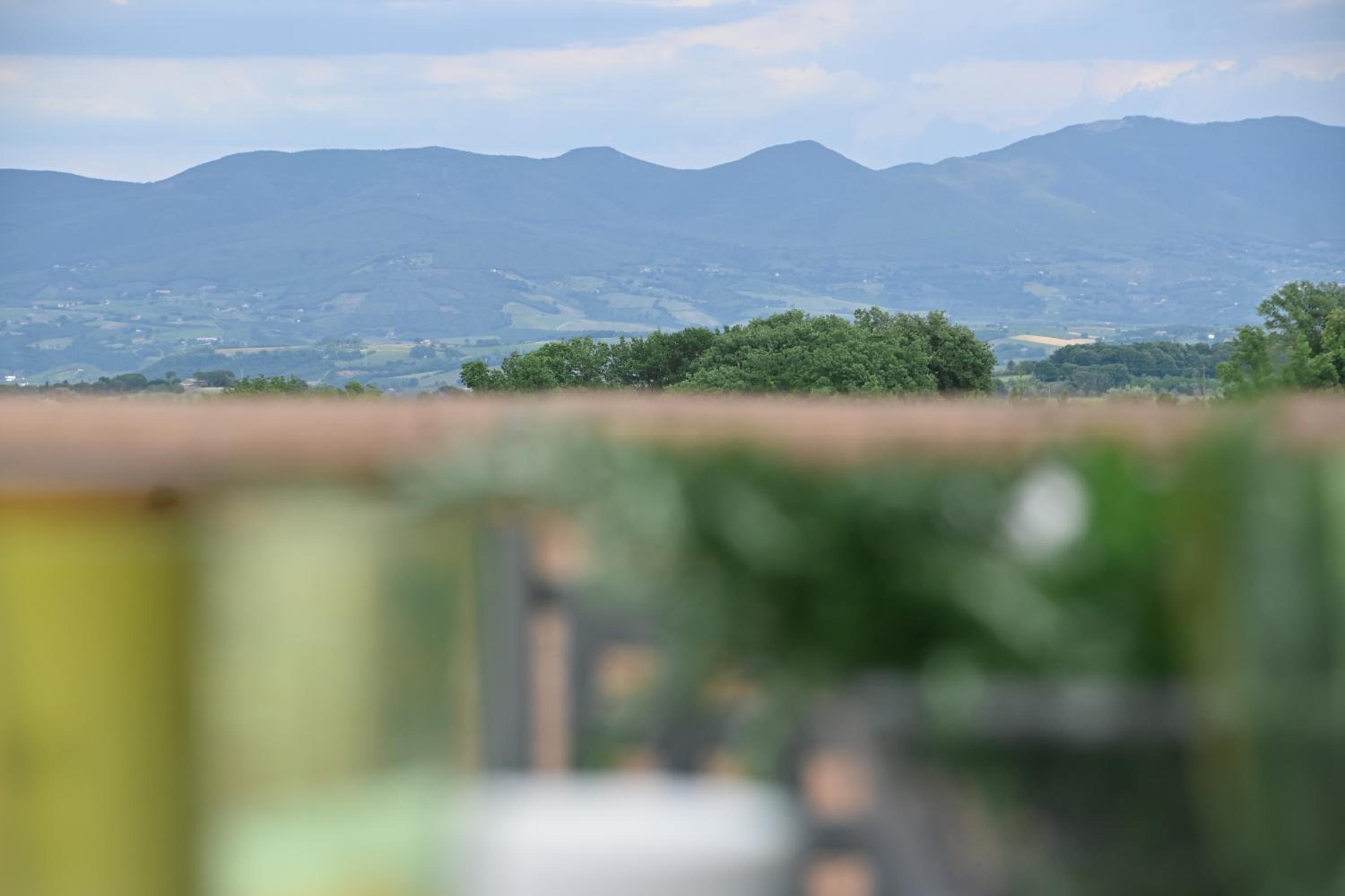Apartment with Balcony photo 2