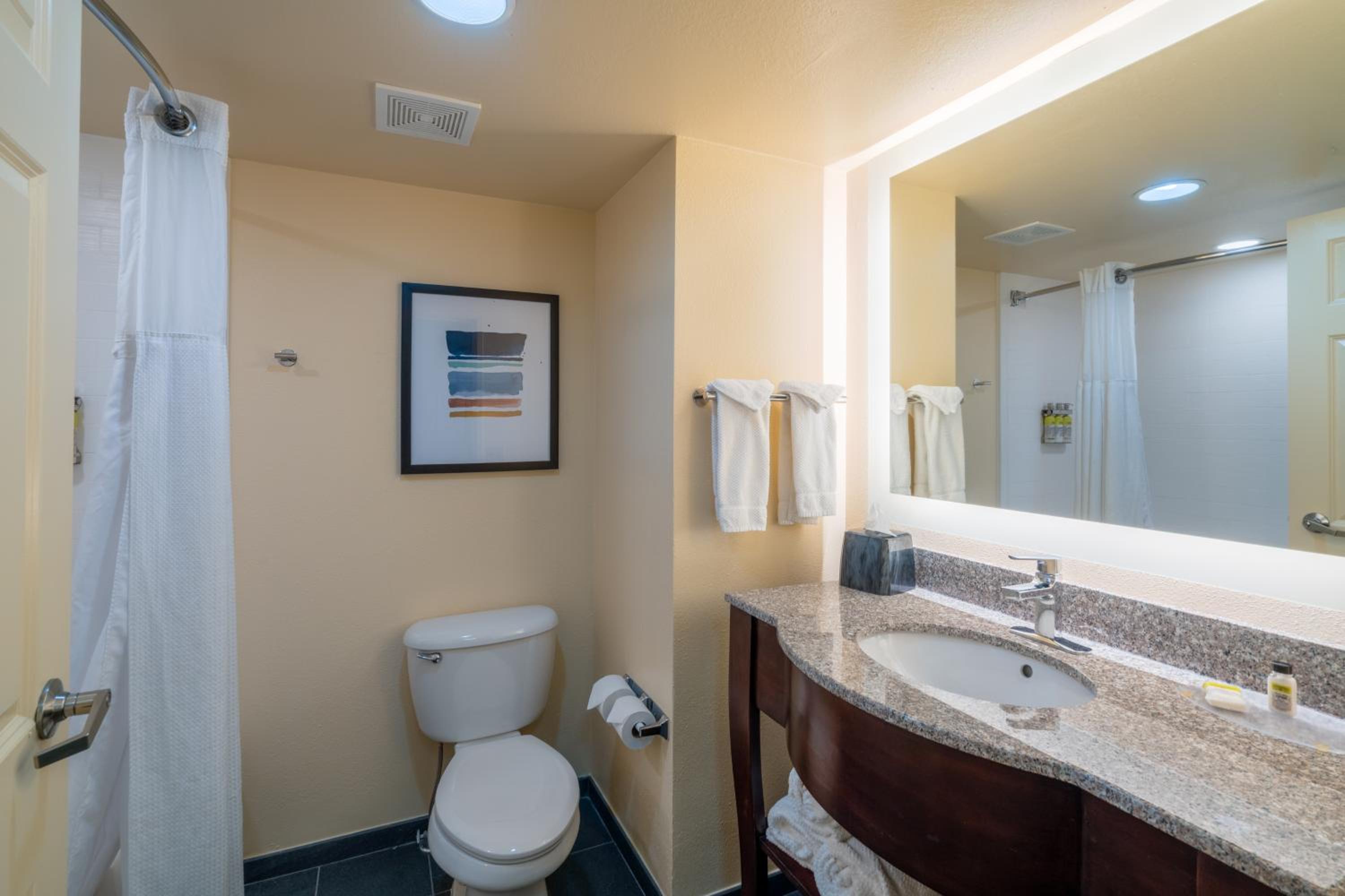 Studio Suite - Photo 2