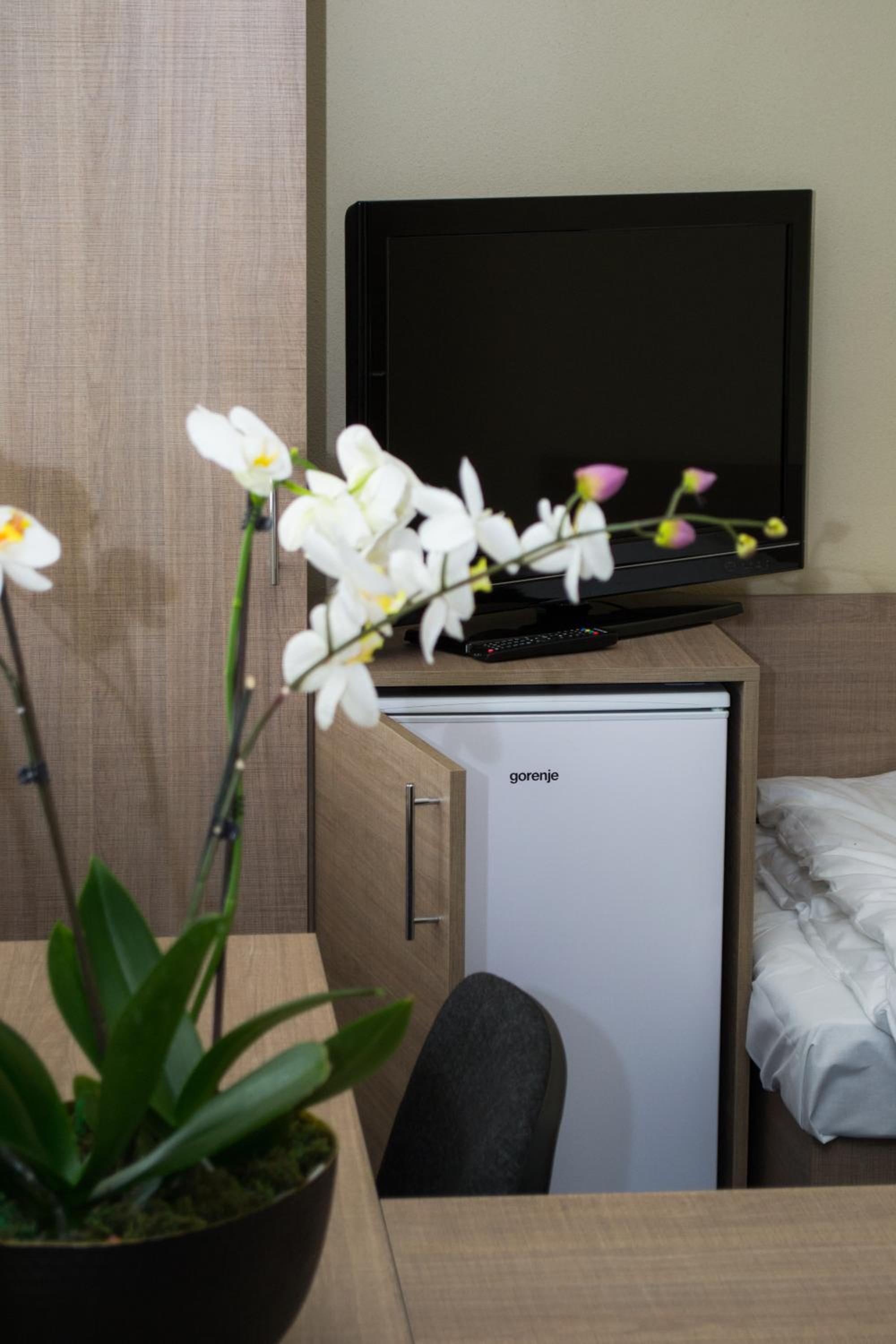 Triple Room with Shared Bathroom photo 2