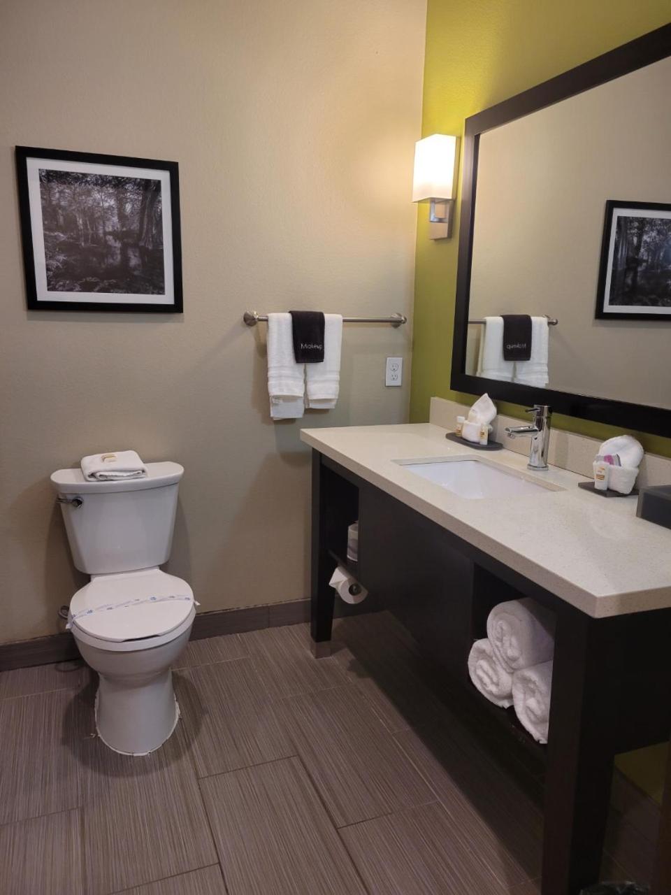 La Quinta by Wyndham Tyler - University Area, Kuva 3