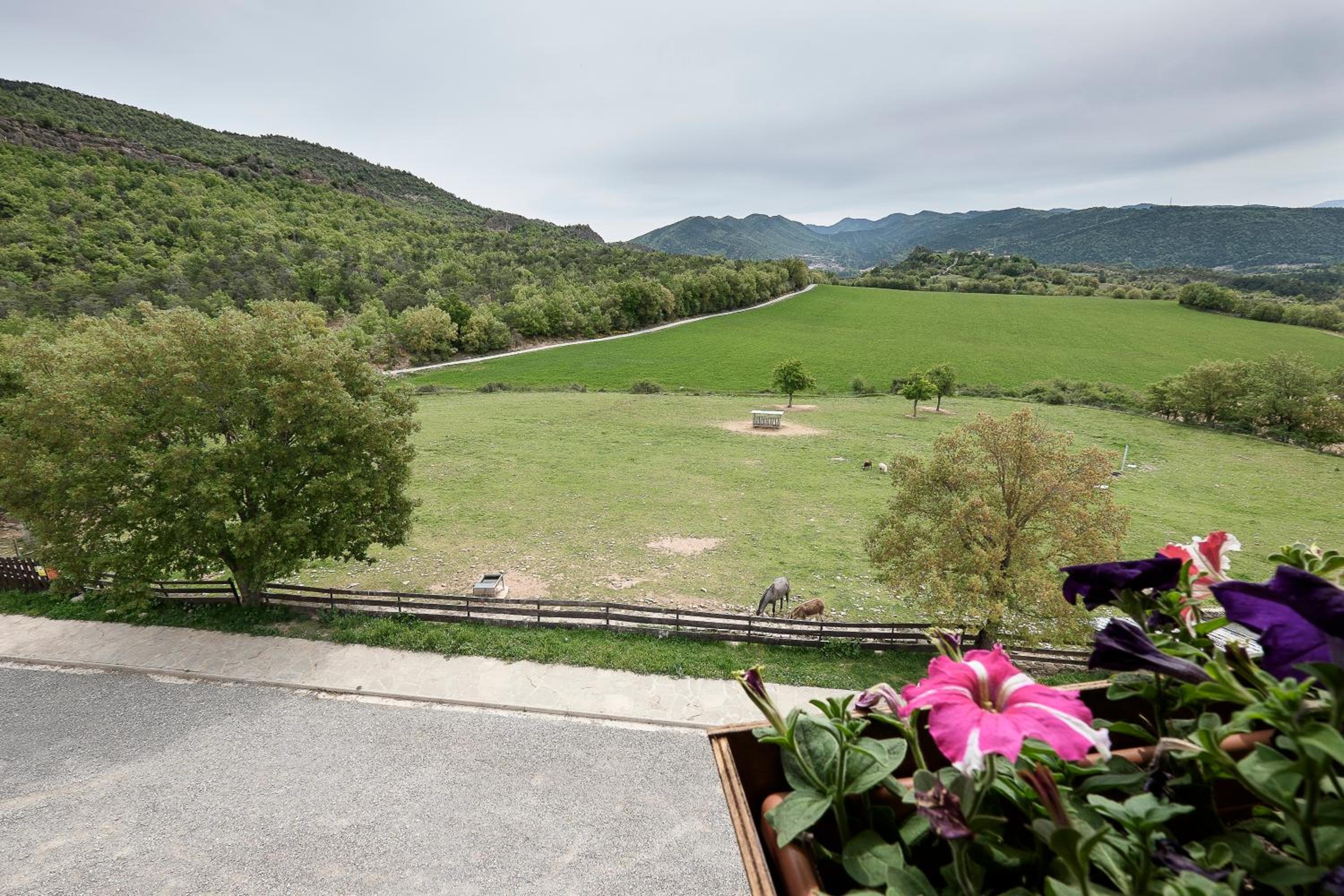 Apartment with Mountain View - Photo 4