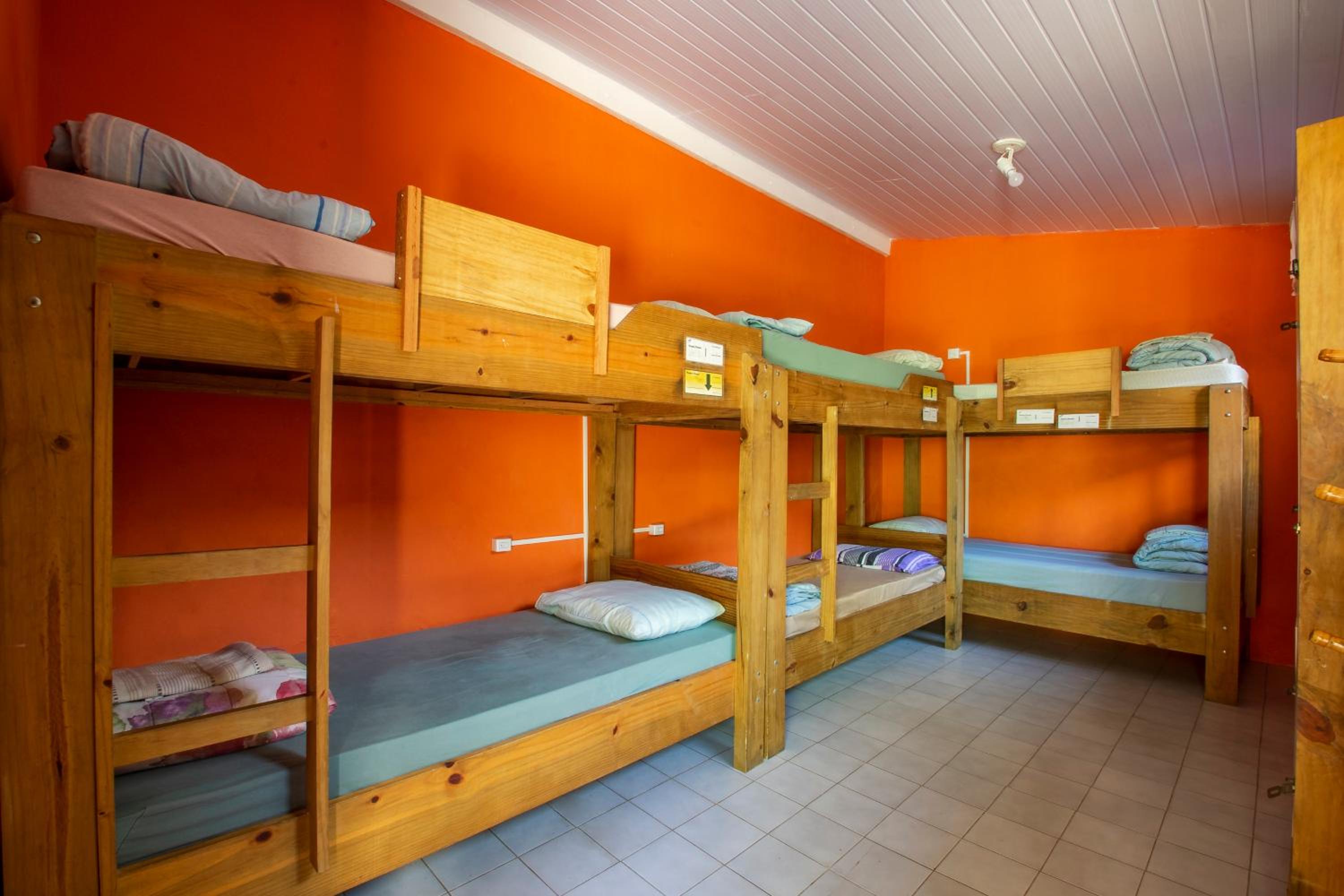 Bed in 6-Bed Mixed Dormitory Room with Shared Bathroom