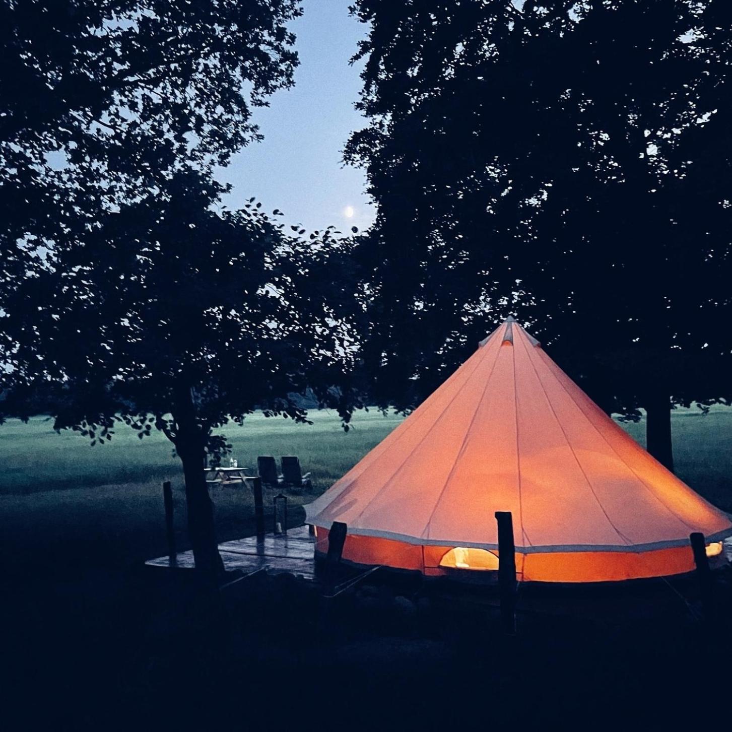 Luxury Tent Lærken photo 3