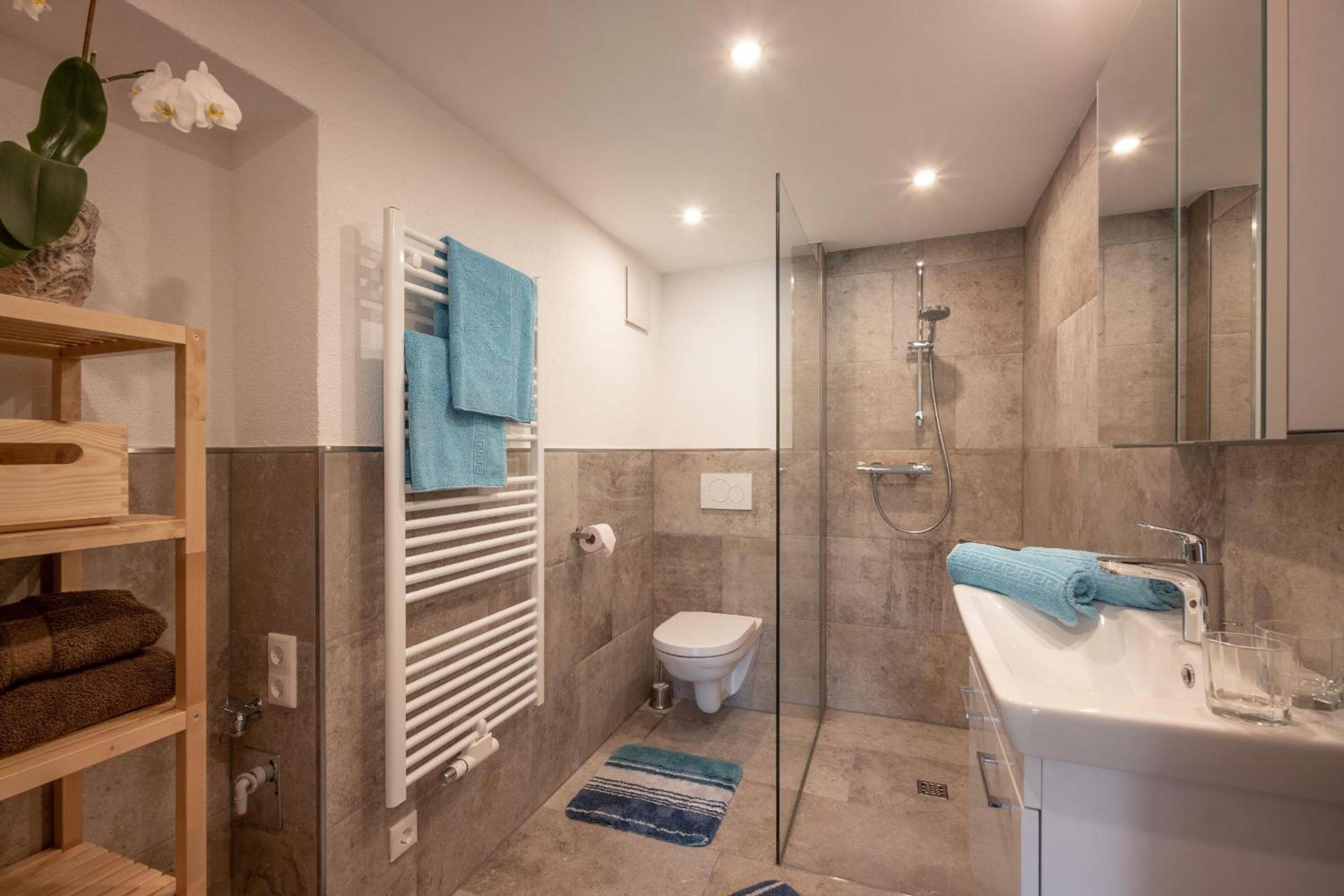 One-Bedroom Apartment with Shower photo 2
