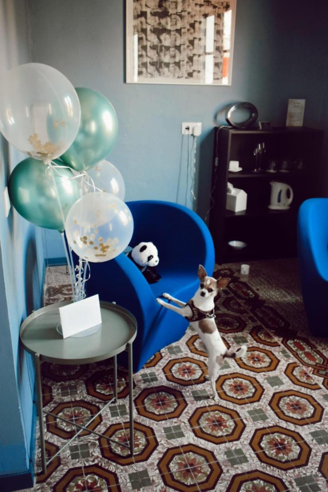 Double Room - Photo 6