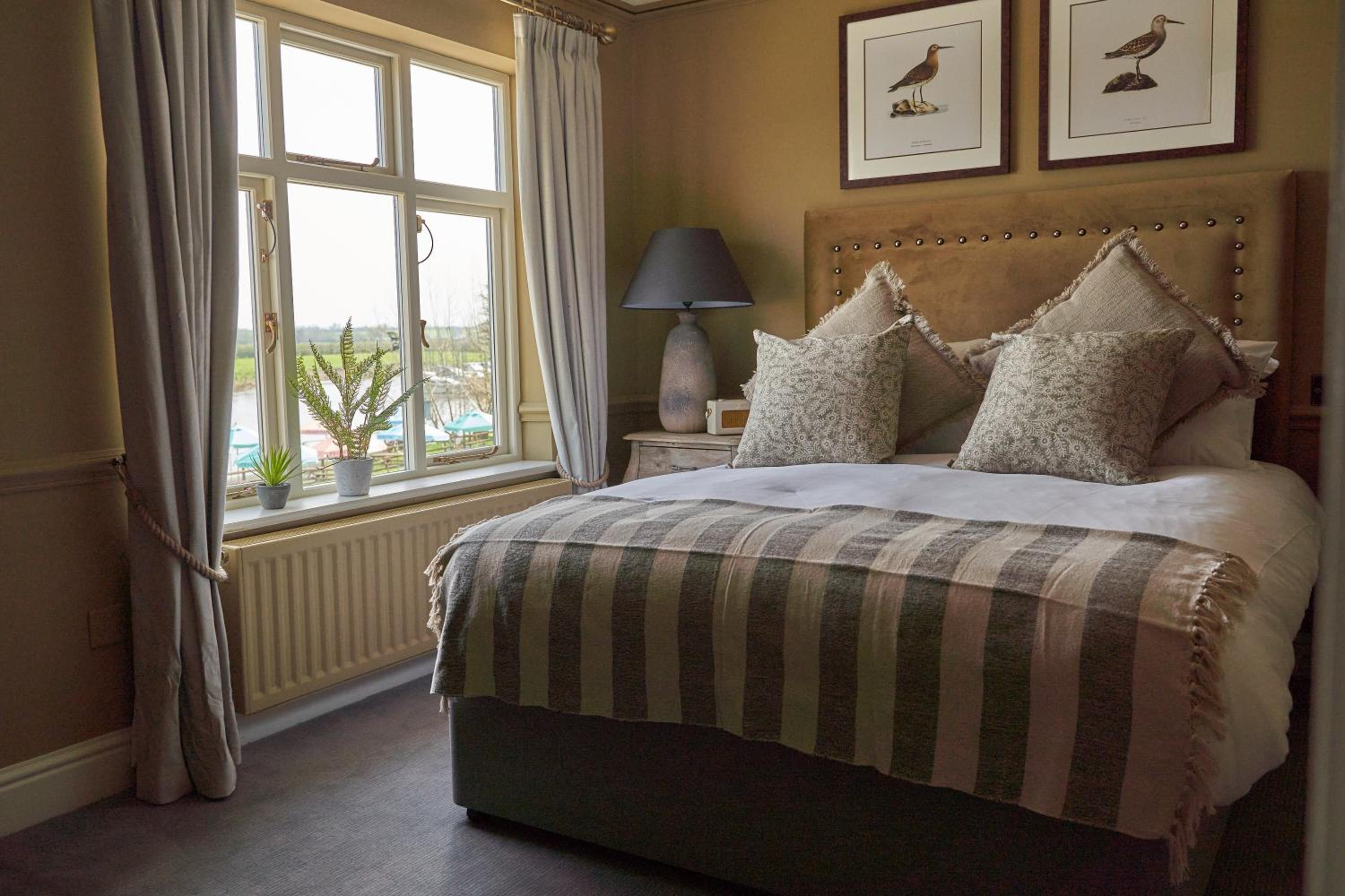 Deluxe Double Room photo 3