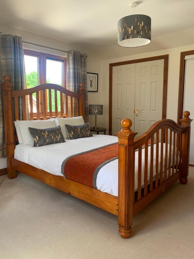King Room photo 1