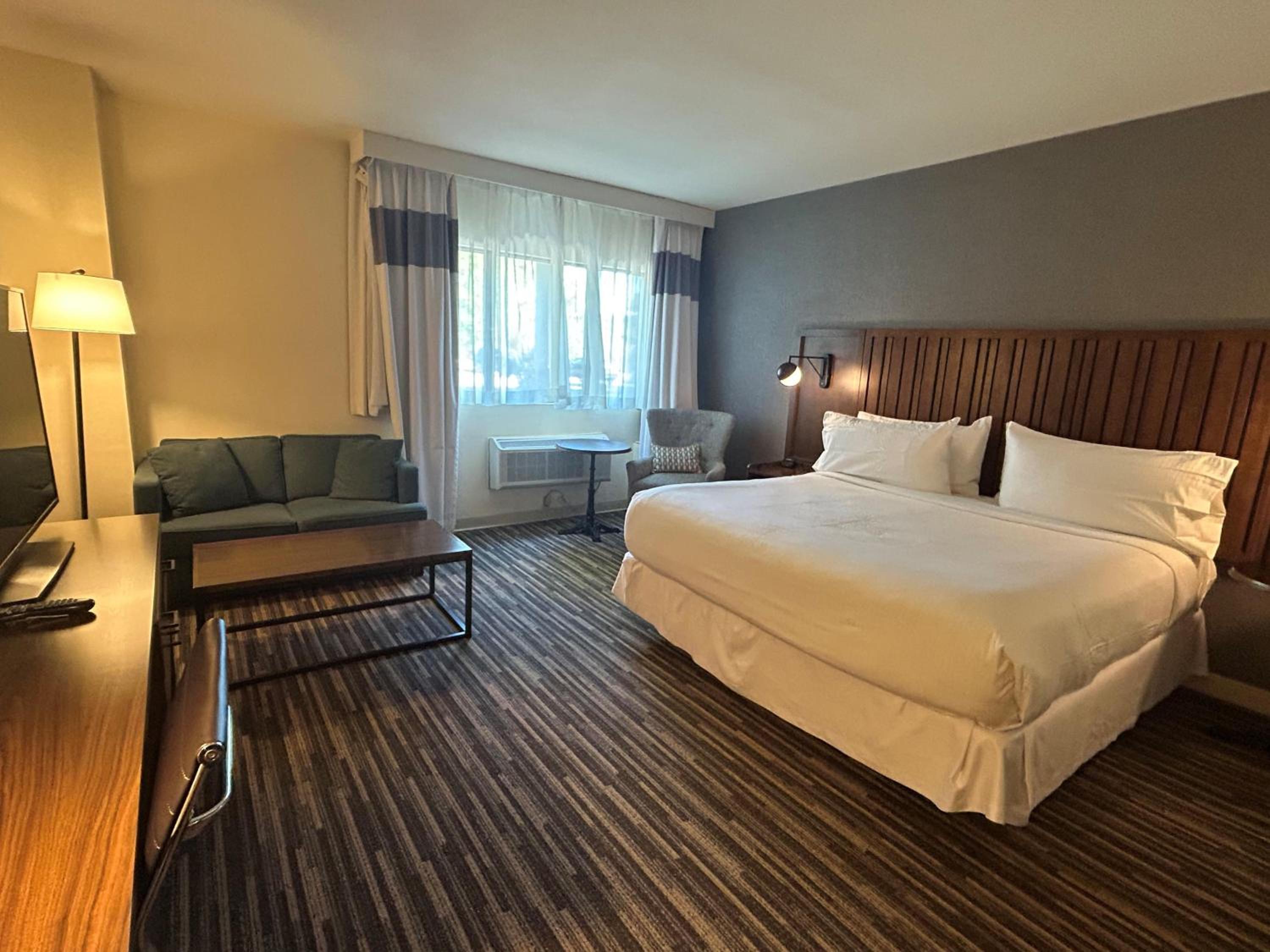 King Room with Spa Bath and Shower - Pet Friendly/Non-Smoking
