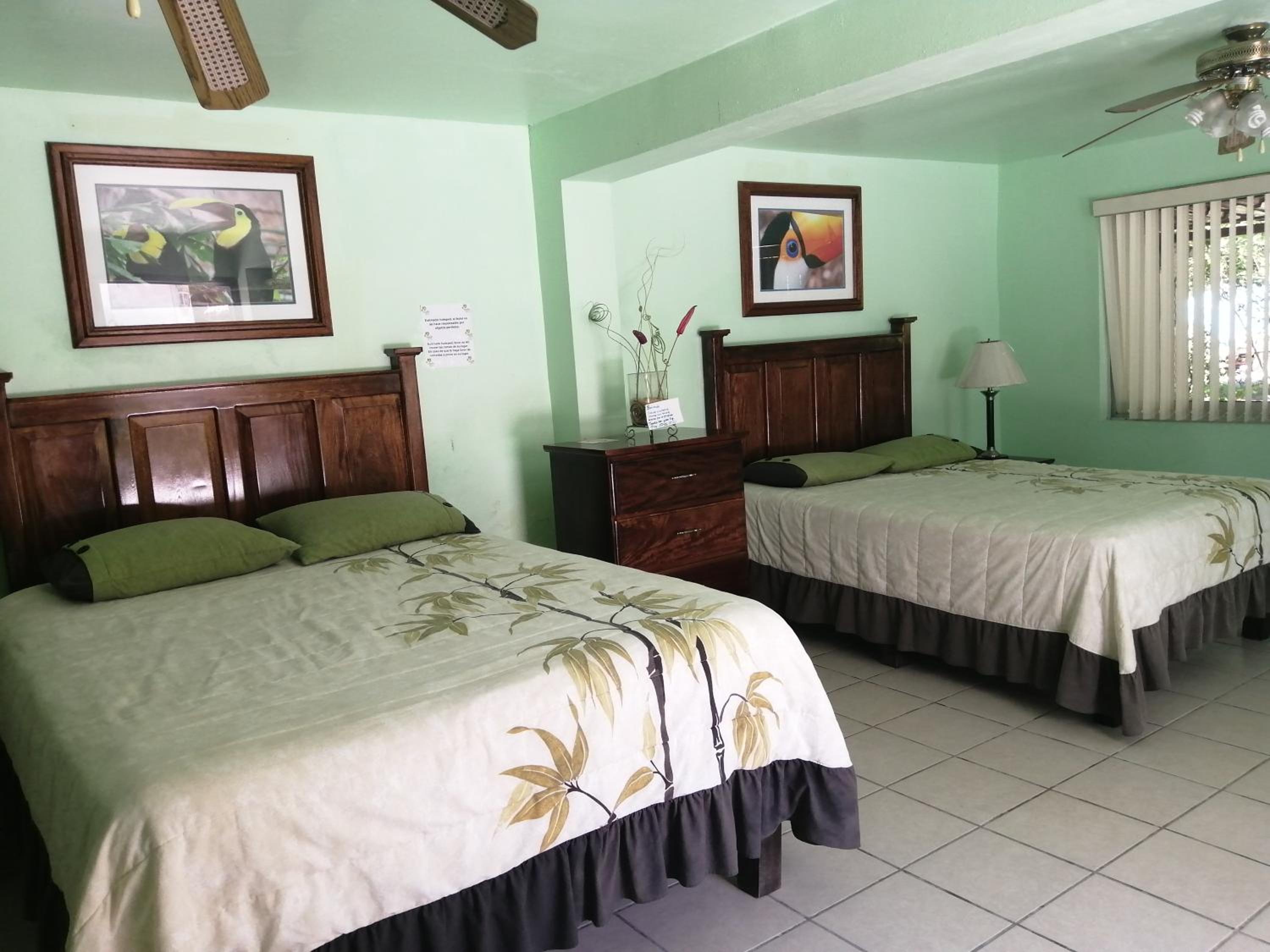 Double Room with Garden View photo 1