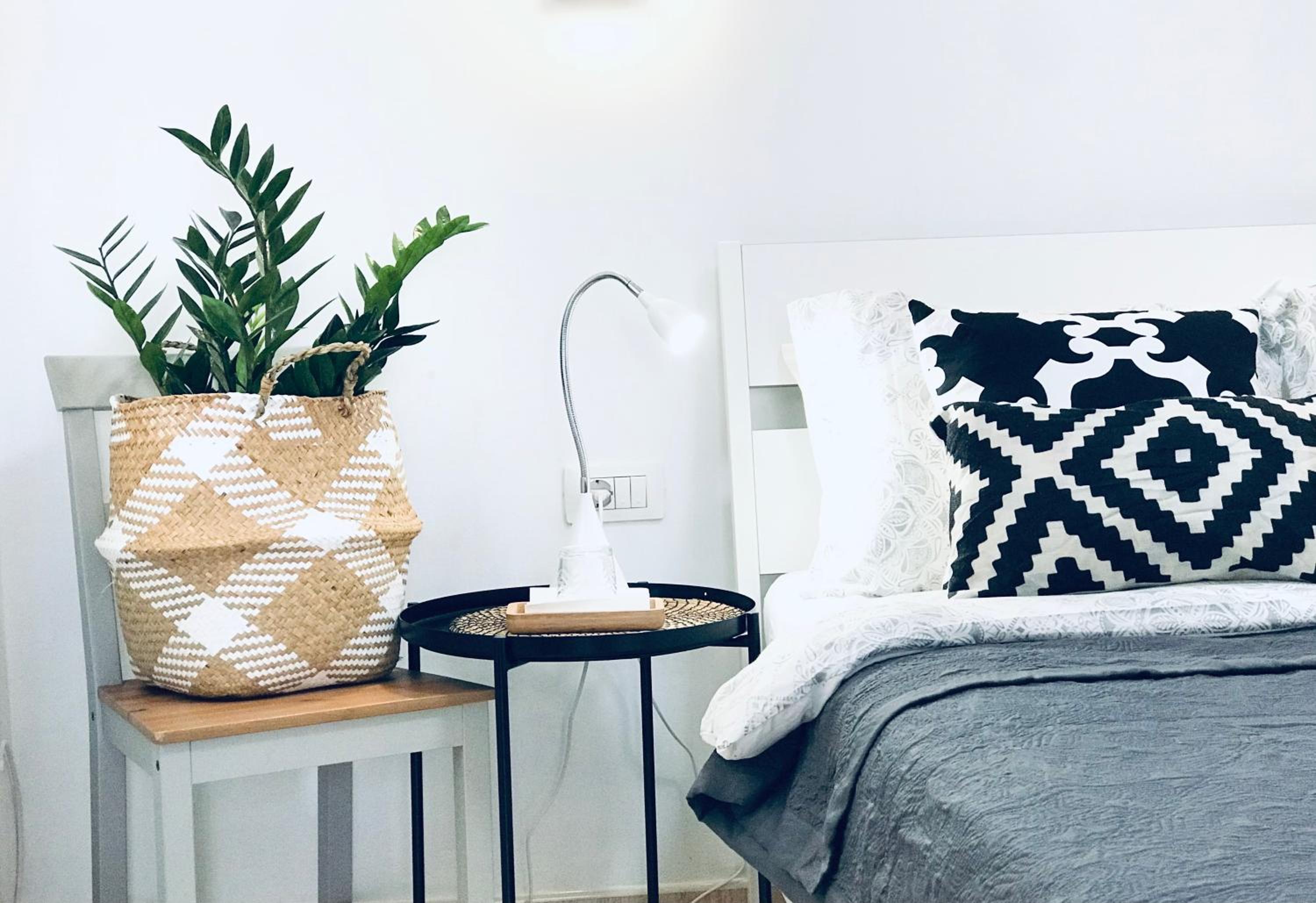 One-Bedroom Apartment photo 3