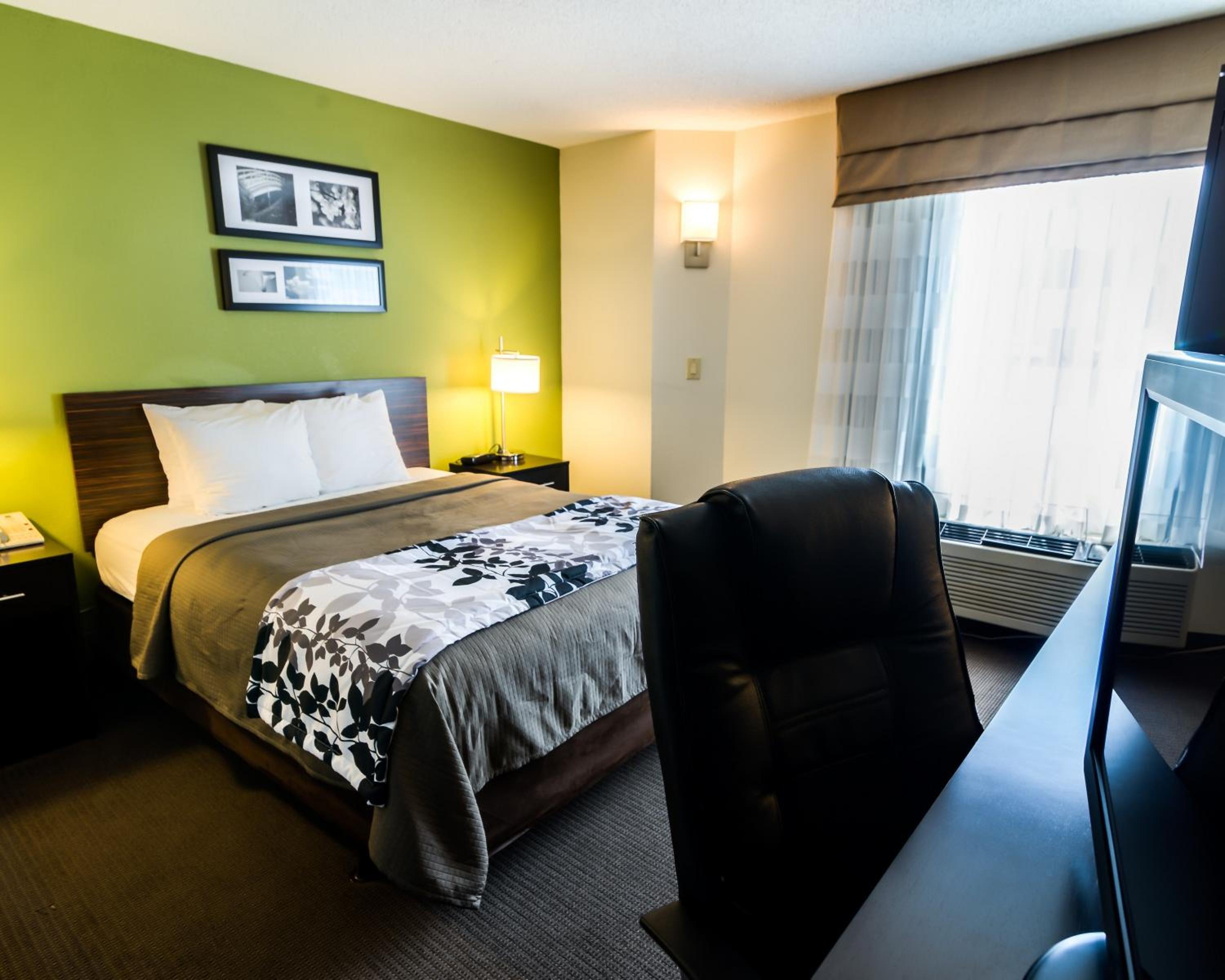 Queen Room - Disability Access - Photo 3