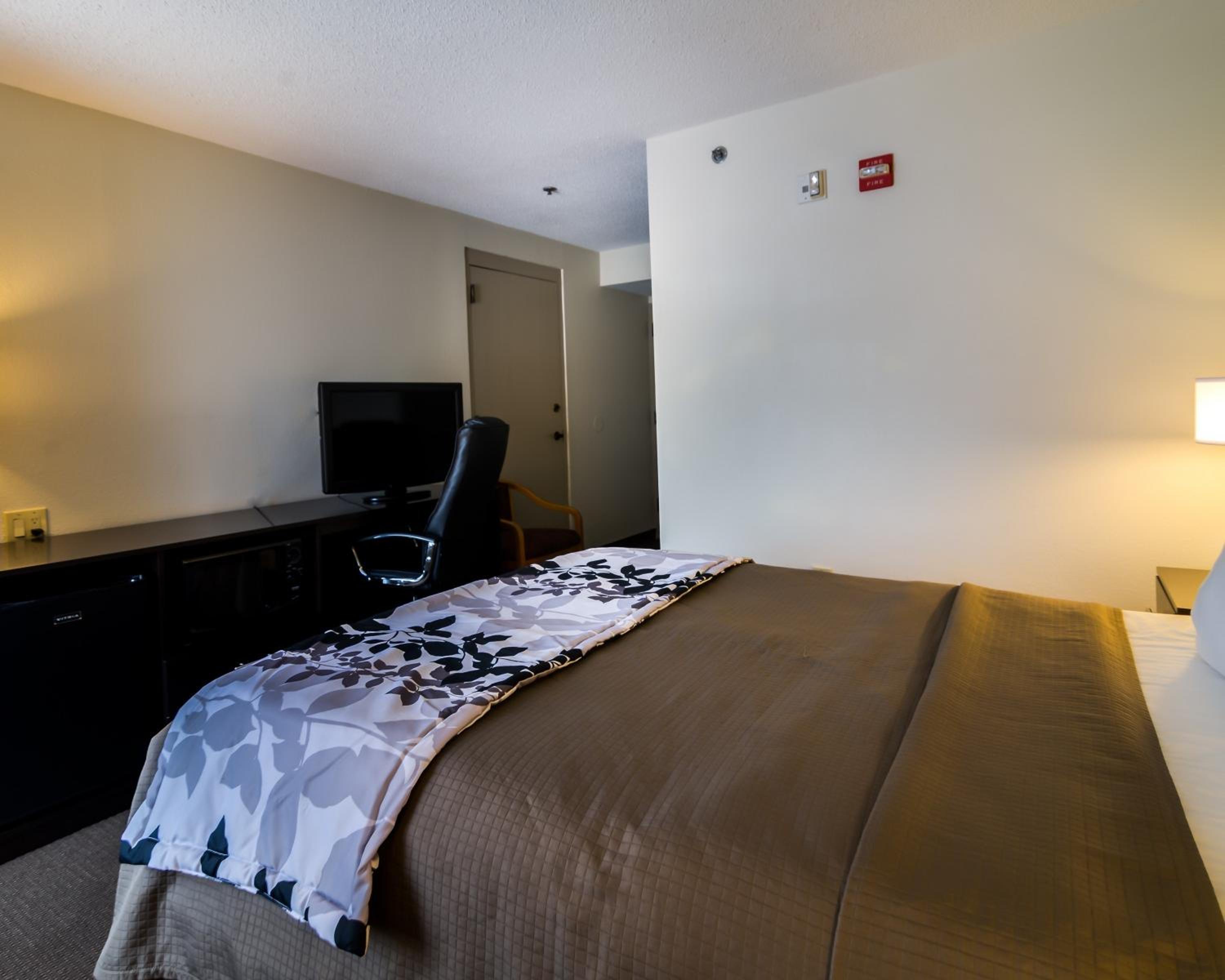 Queen Room - Disability Access - Photo 2