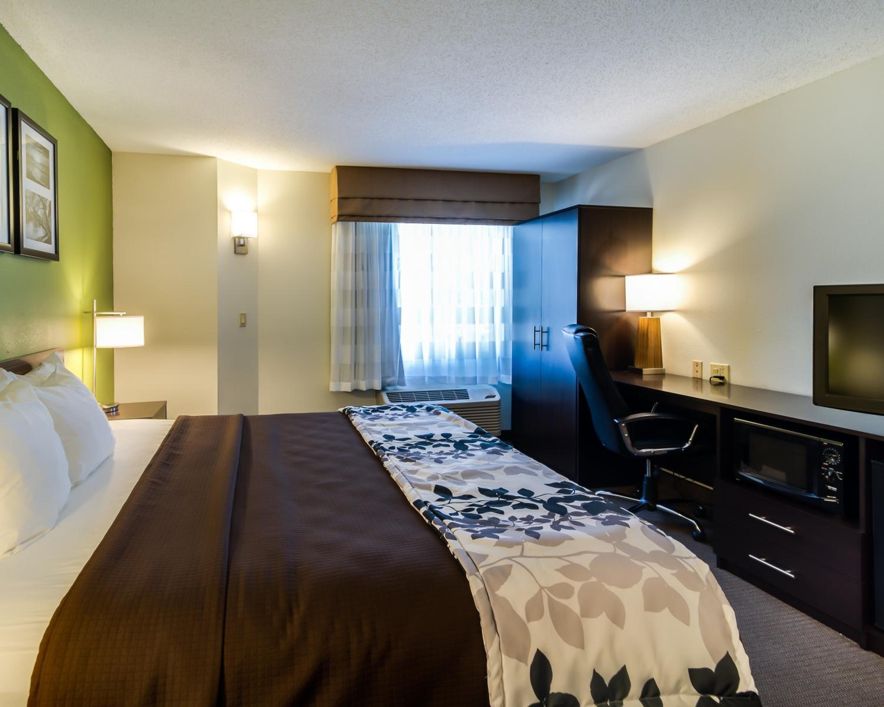 Queen Room - Disability Access - Photo 6