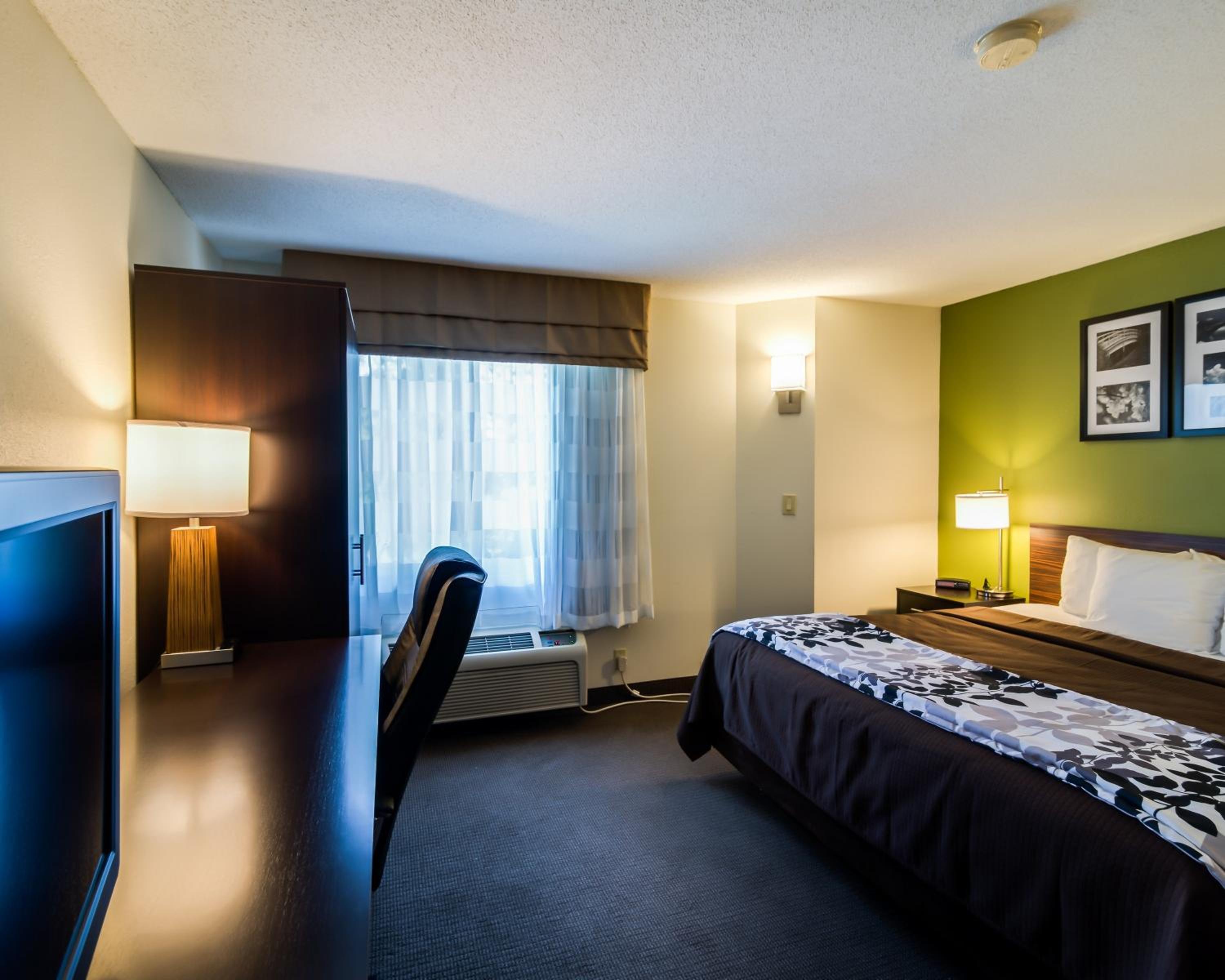 Queen Room - Disability Access - Photo 5