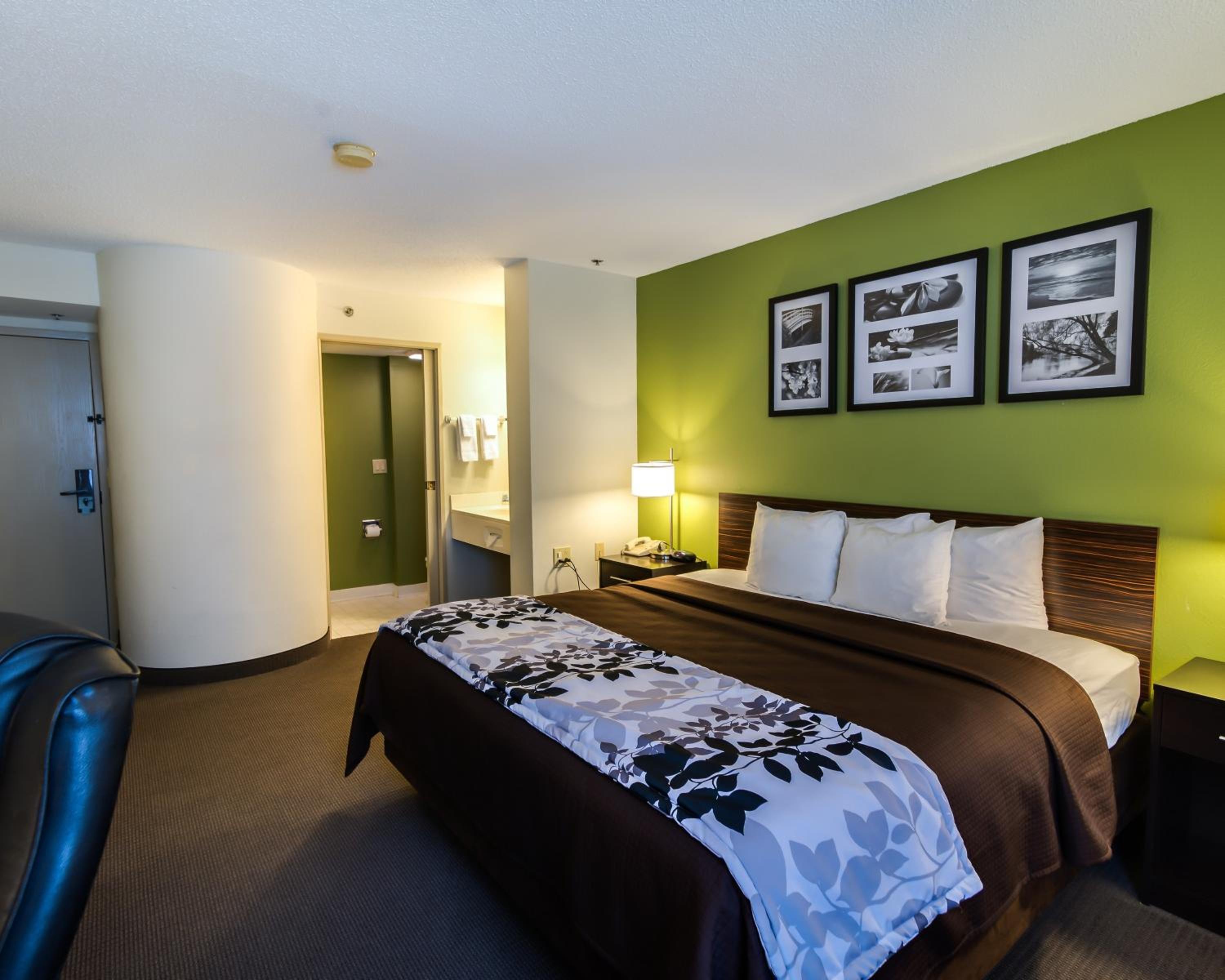 Queen Room - Disability Access - Photo 4