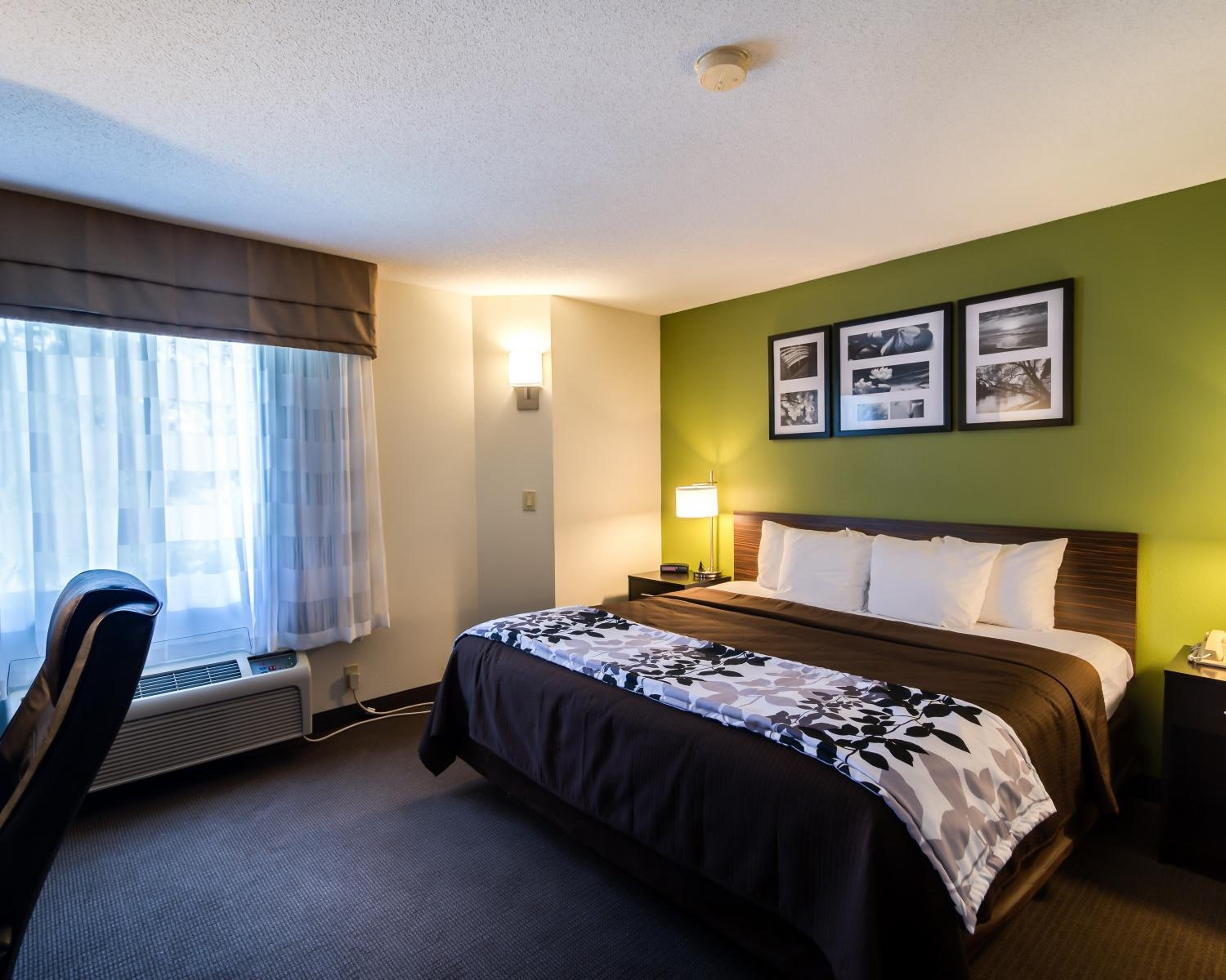 Queen Room - Disability Access - Photo 1