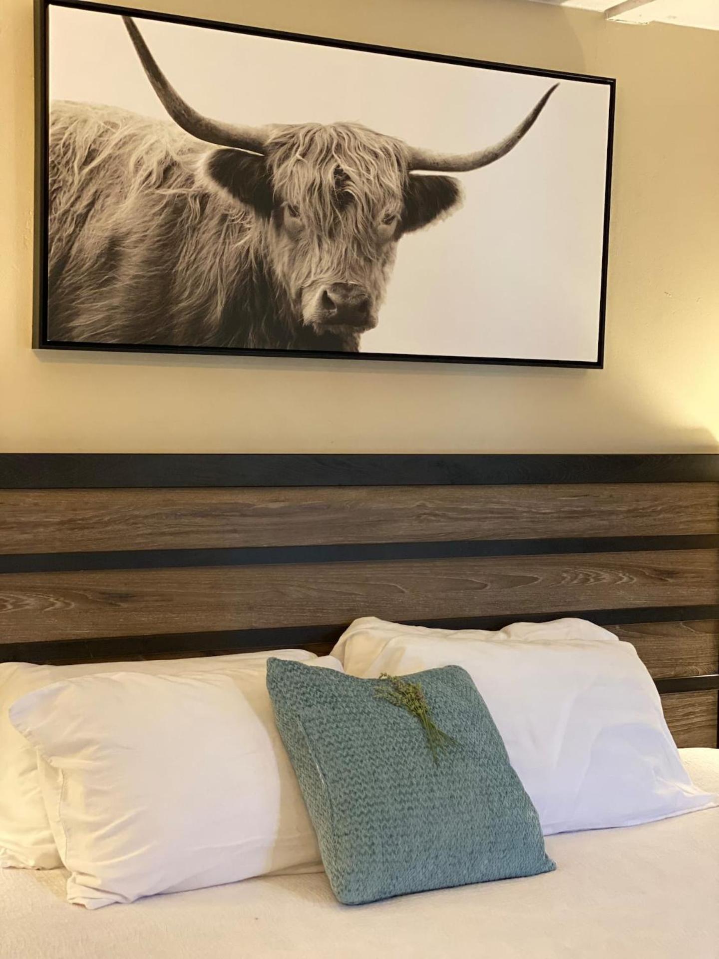 Studio with Sofa Bed