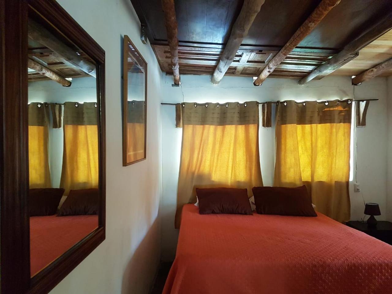 Double or Twin Room photo 1