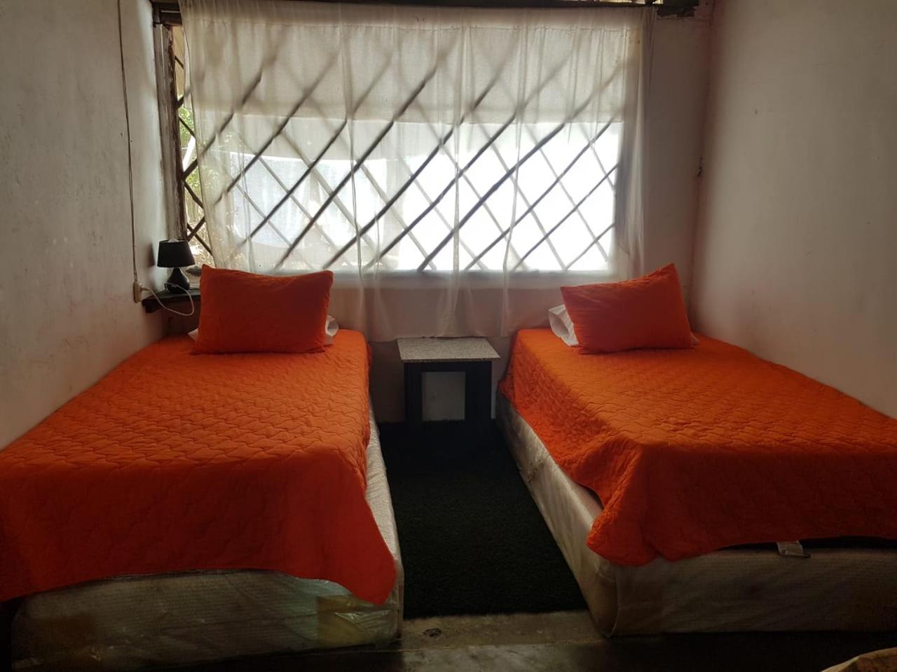 Double or Twin Room photo 3