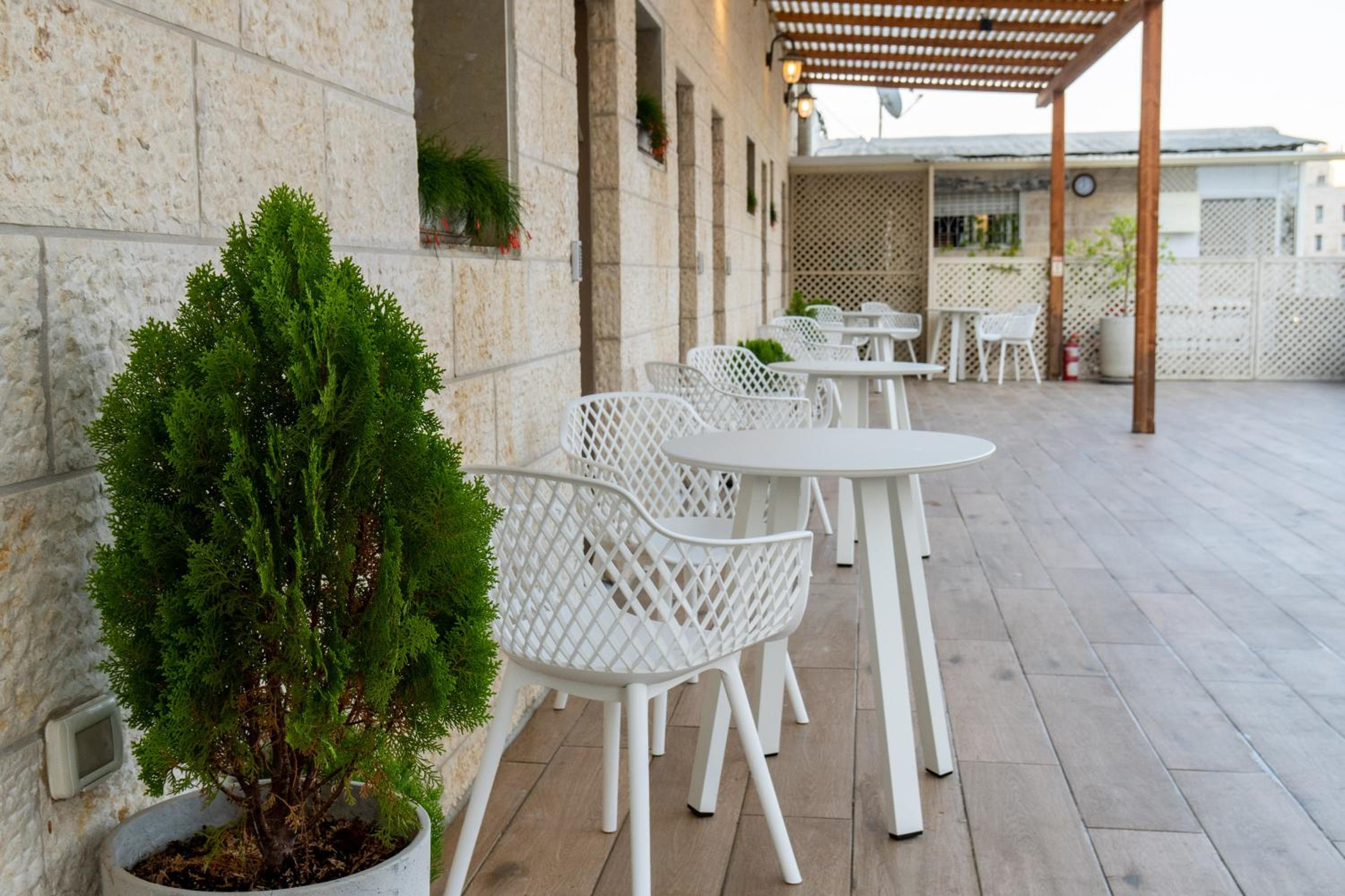Terrace Room - Photo 9