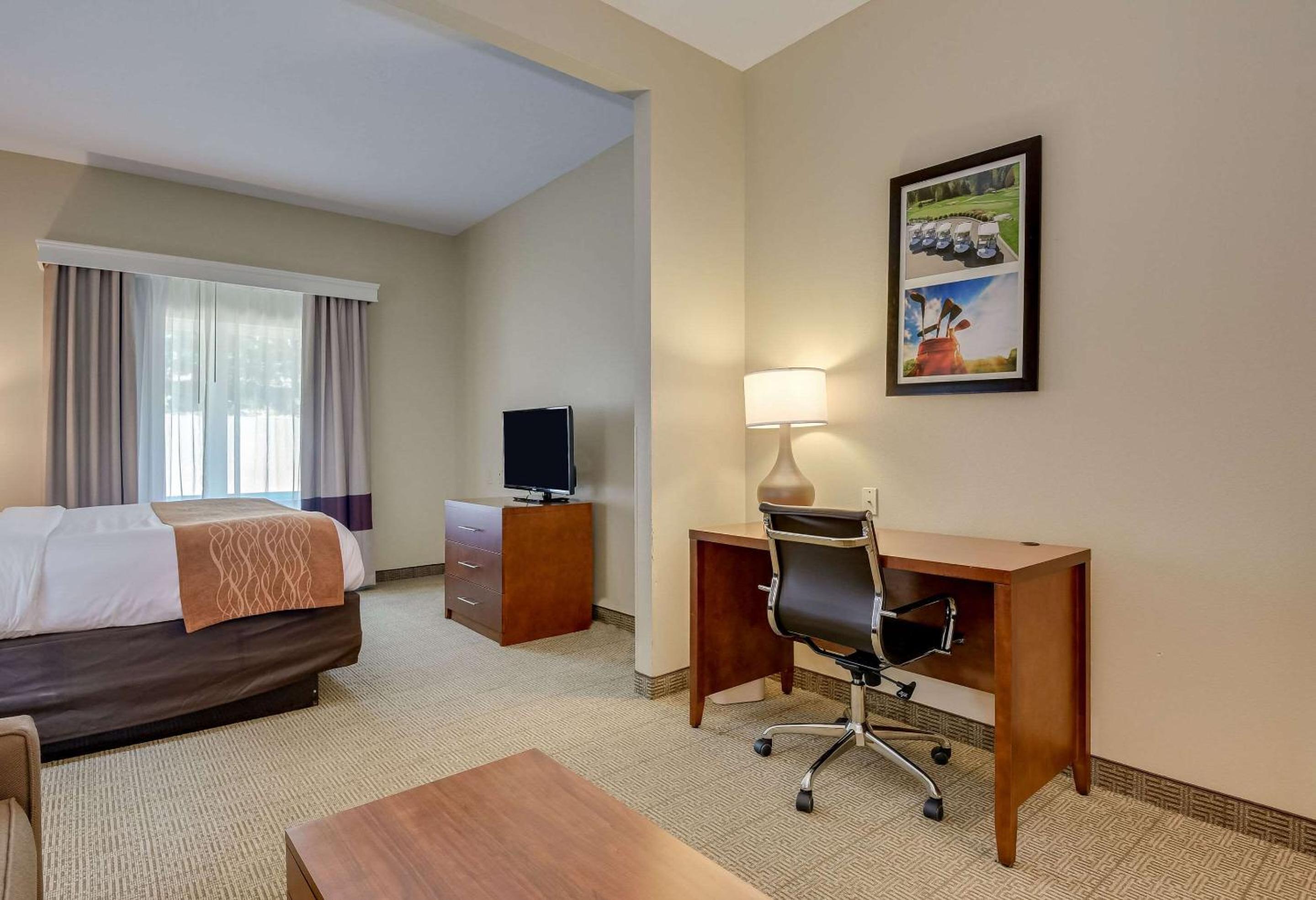 King Suite with Sofa Bed - Non-Smoking - Photo 6