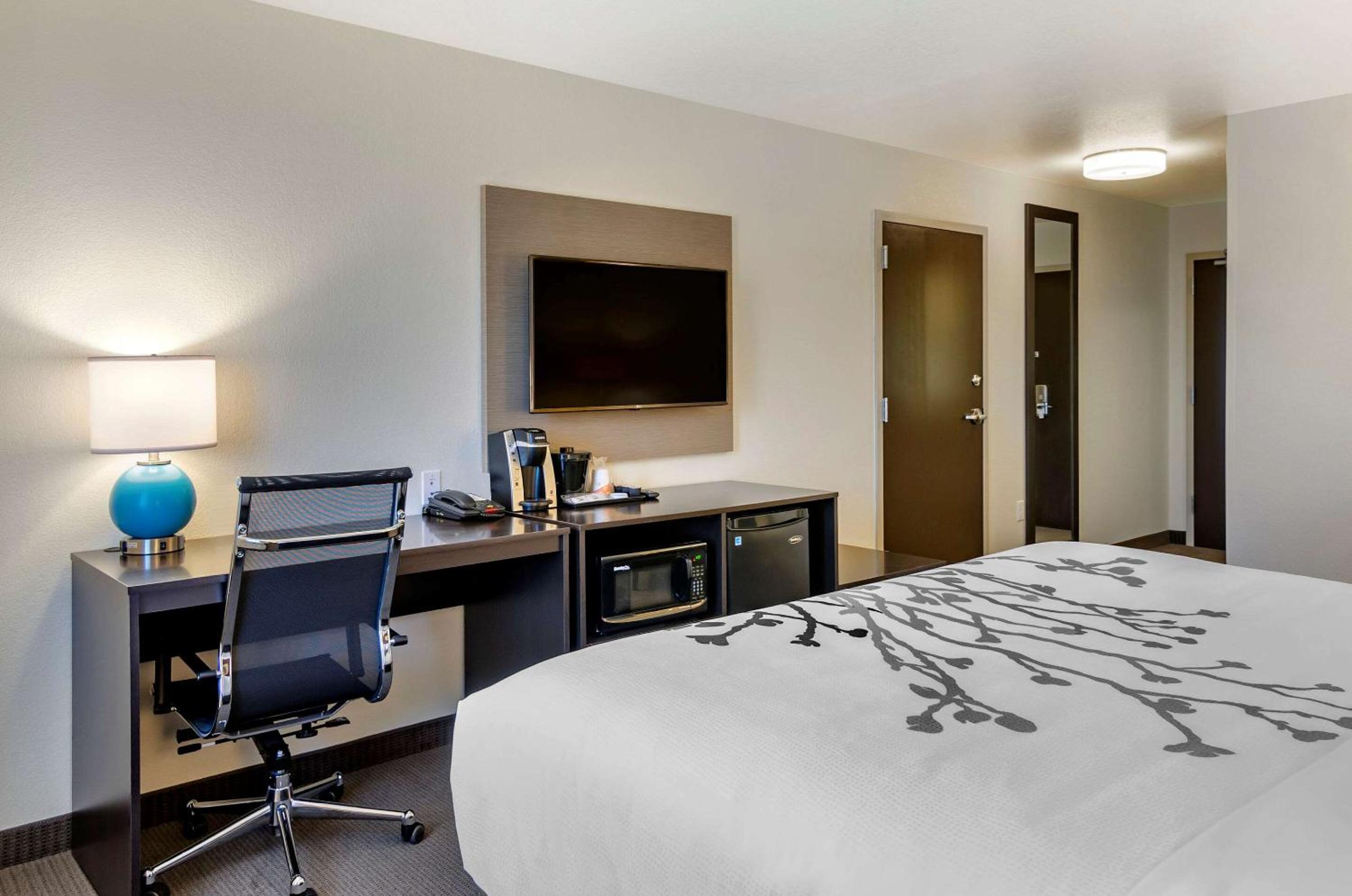 King Room - Non-Smoking - Photo 1