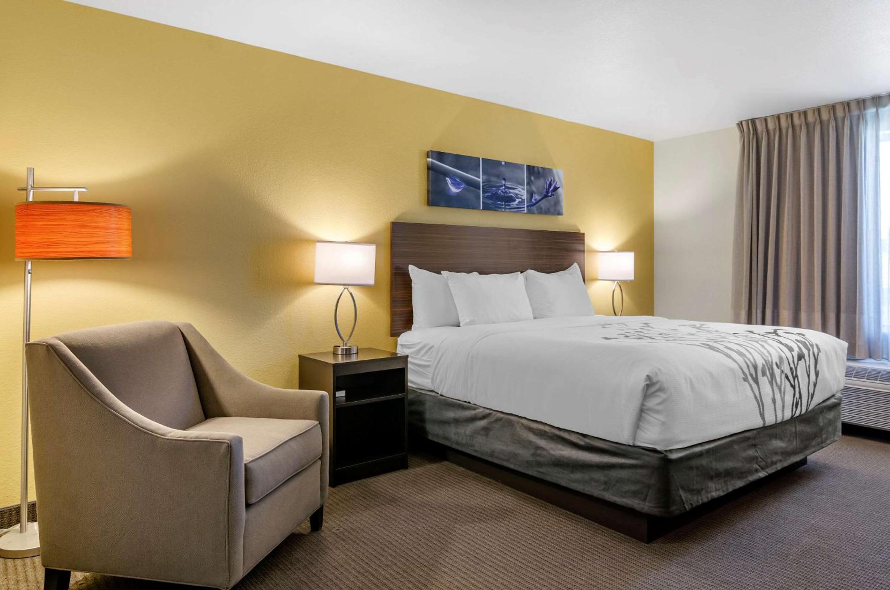King Room - Non-Smoking - Photo 4