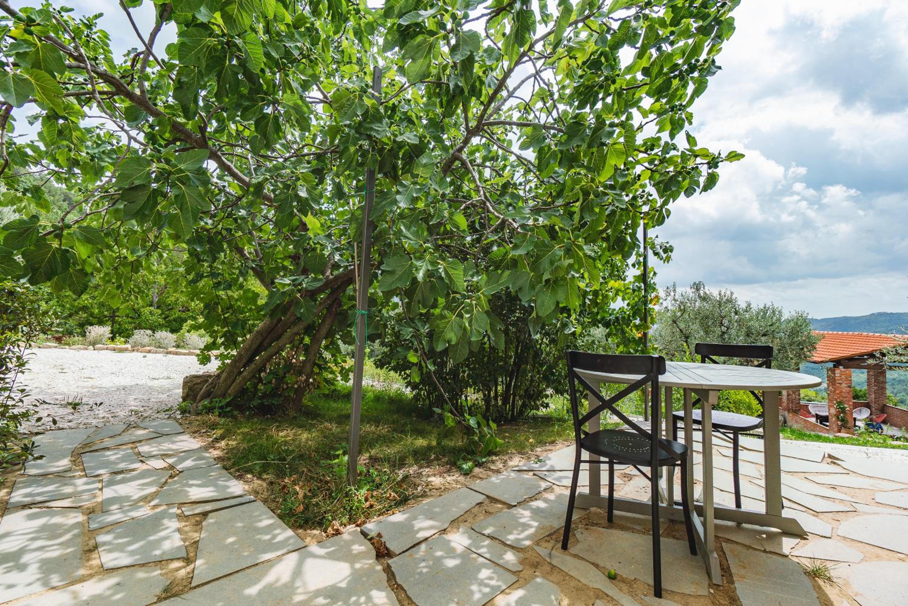 Double Room with Terrace - Photo 11