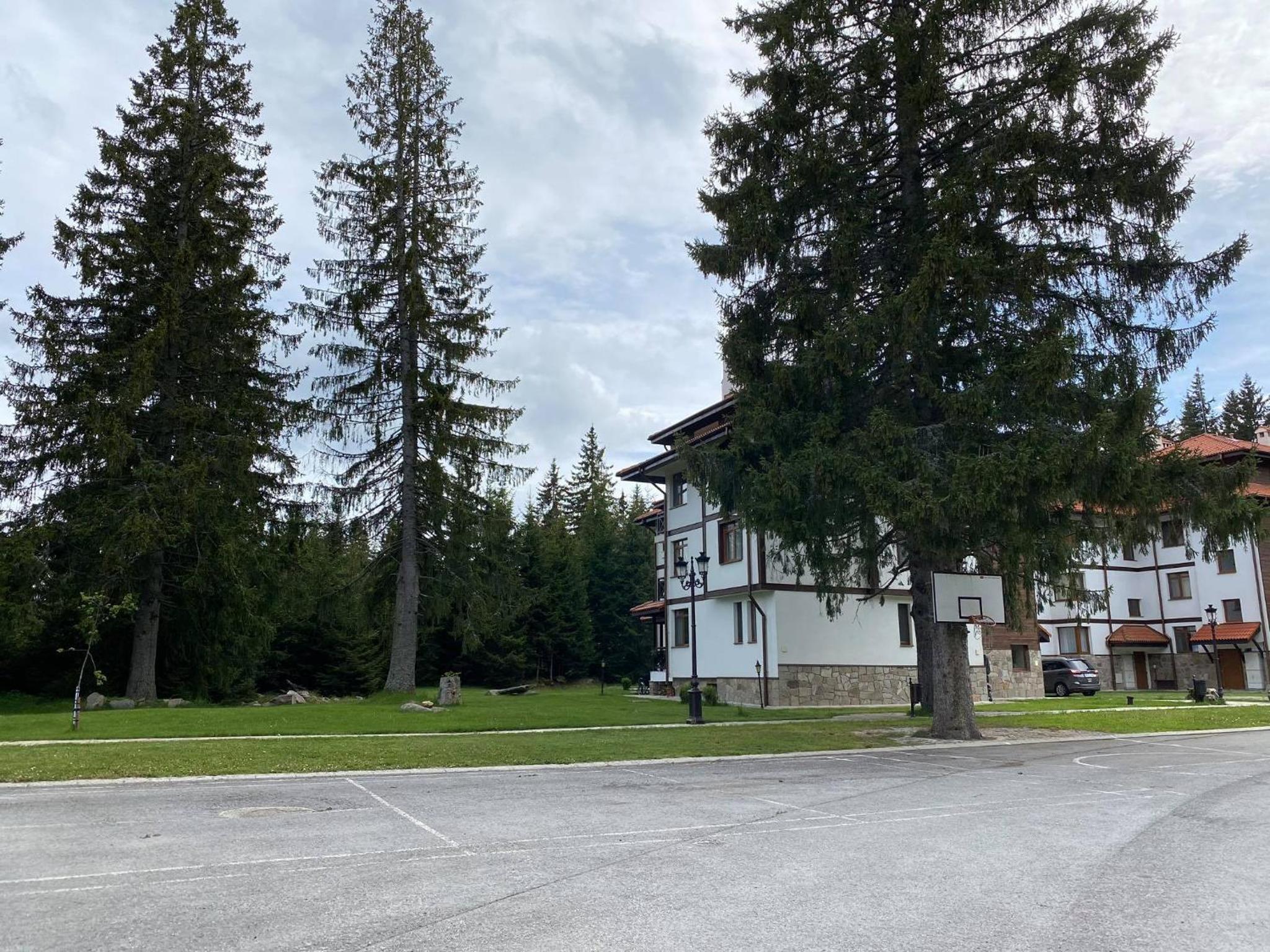 Apartment with Garden View photo 3