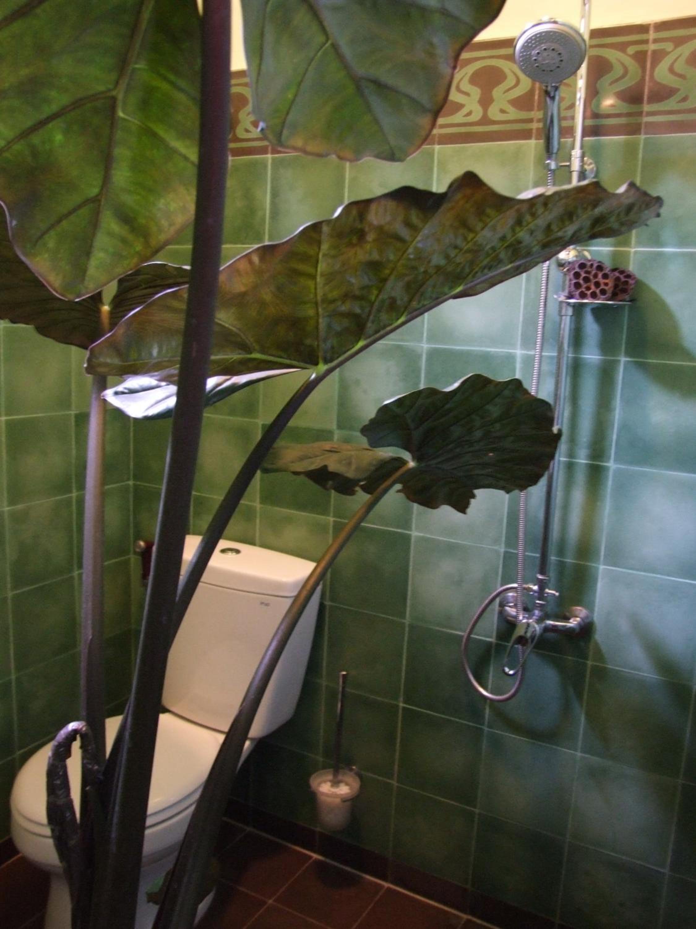 Standard Twin Room - Photo 5