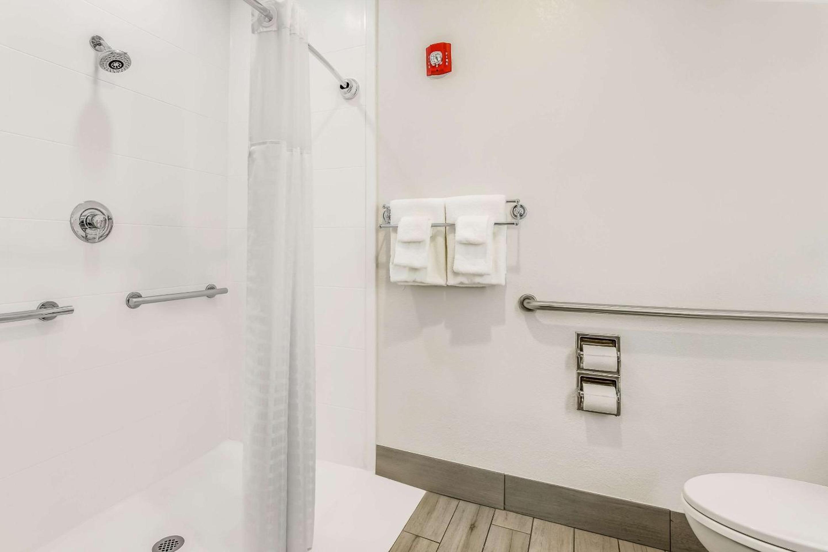 King Room with Roll-In Shower - Accessible/Non Smoking - Photo 4