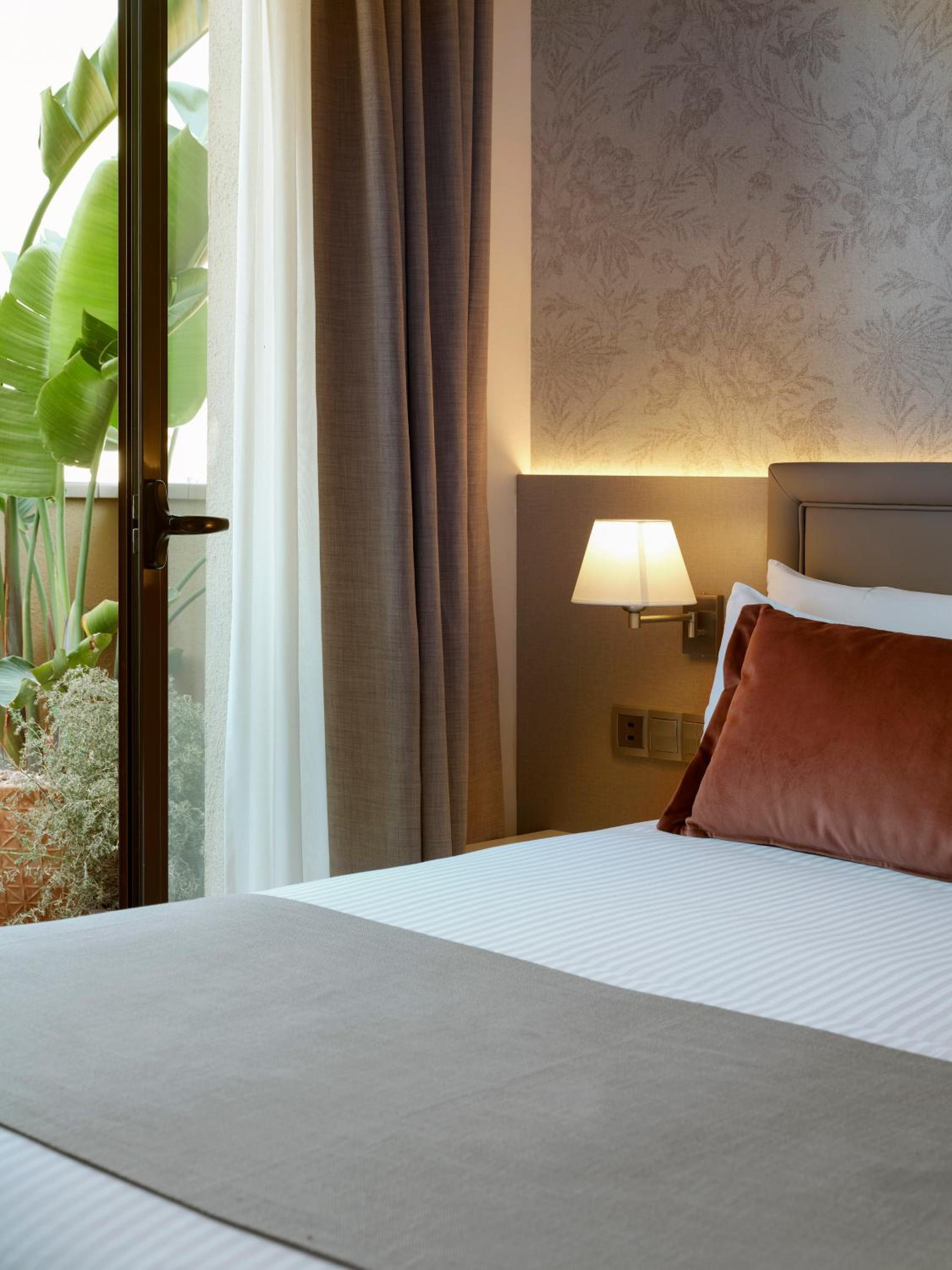 Suite Junior con Terraza