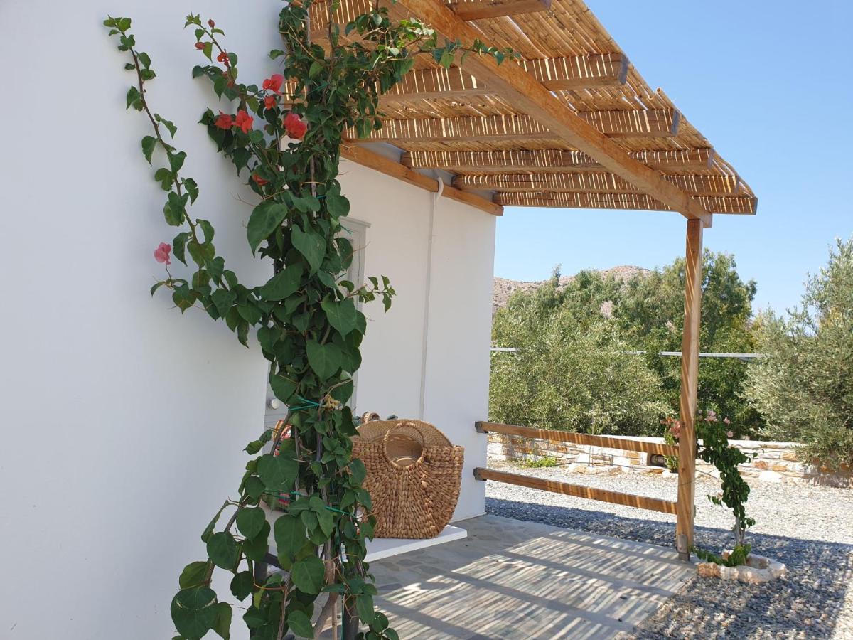 Double or Twin Room with Garden View photo 2
