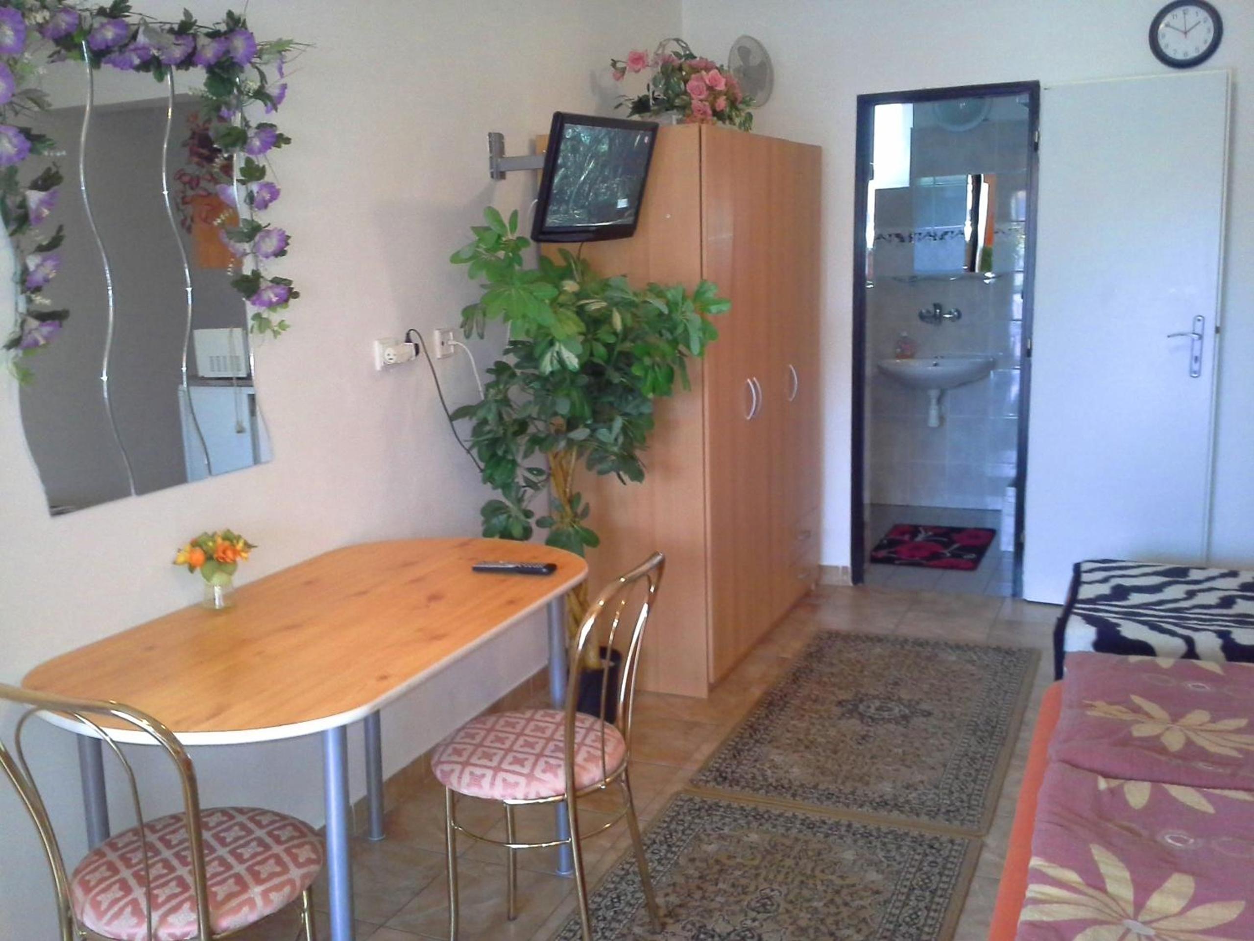 Studio with Terrace photo 3