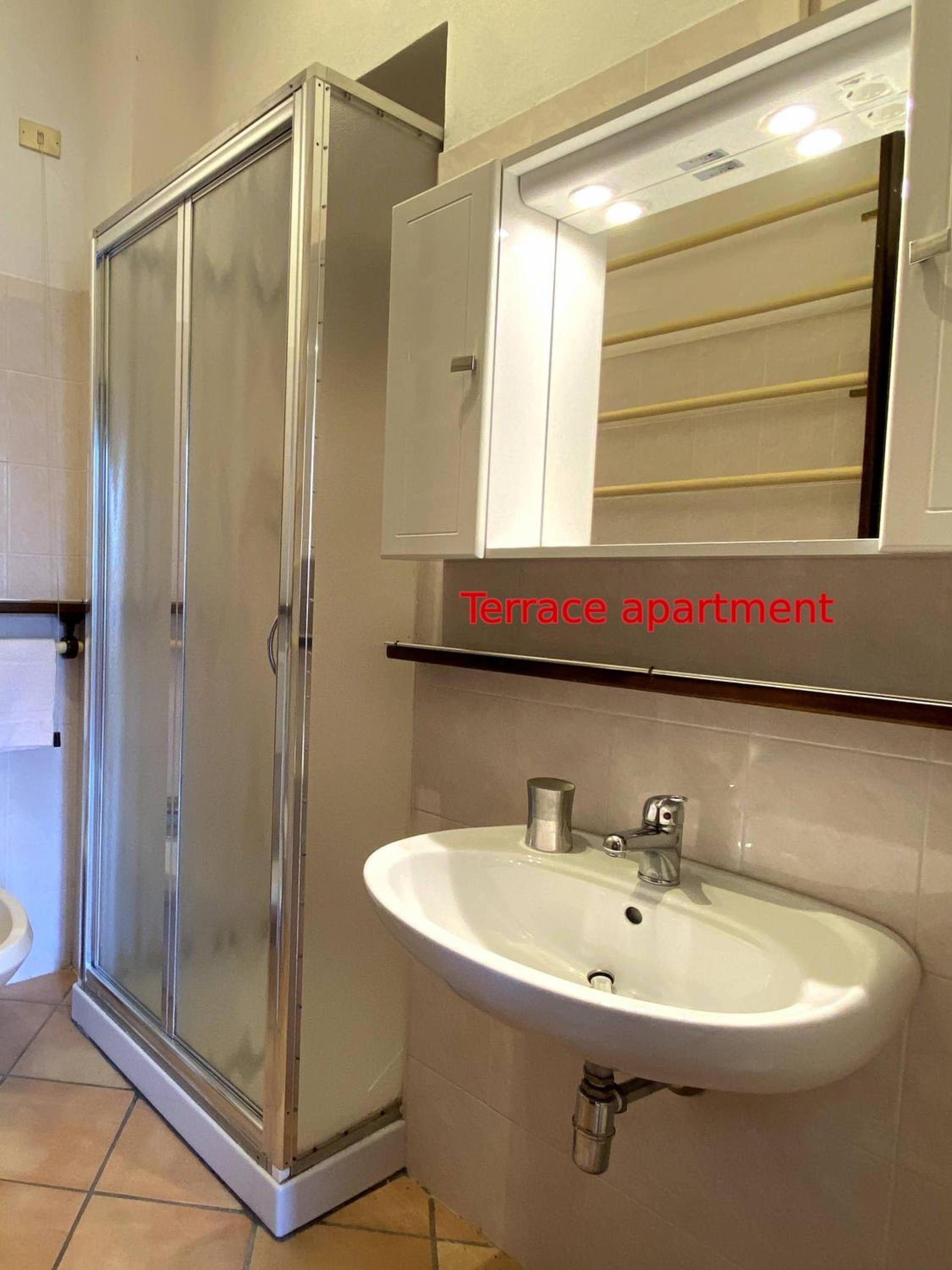 Apartment With Terrace photo 3