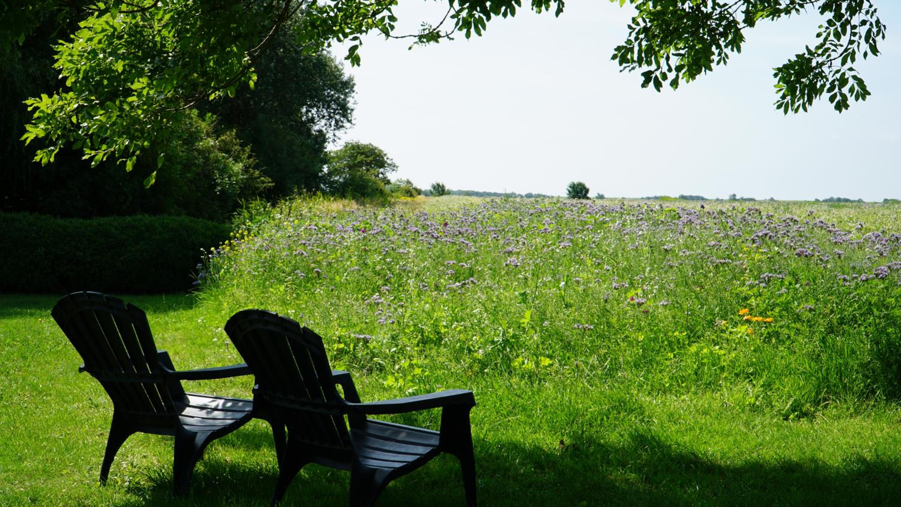 Holiday Home photo 3