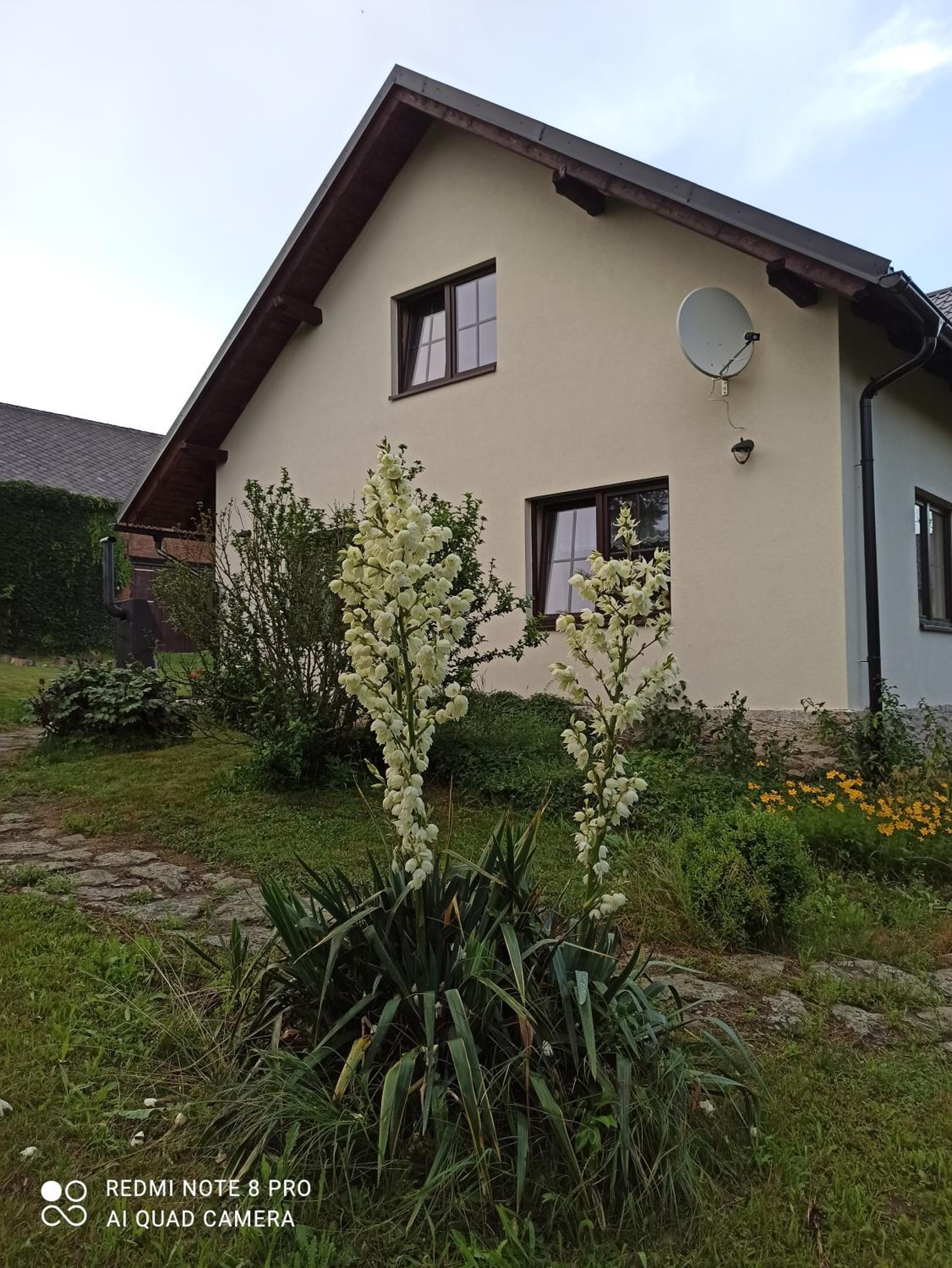 Vacation Home photo 3